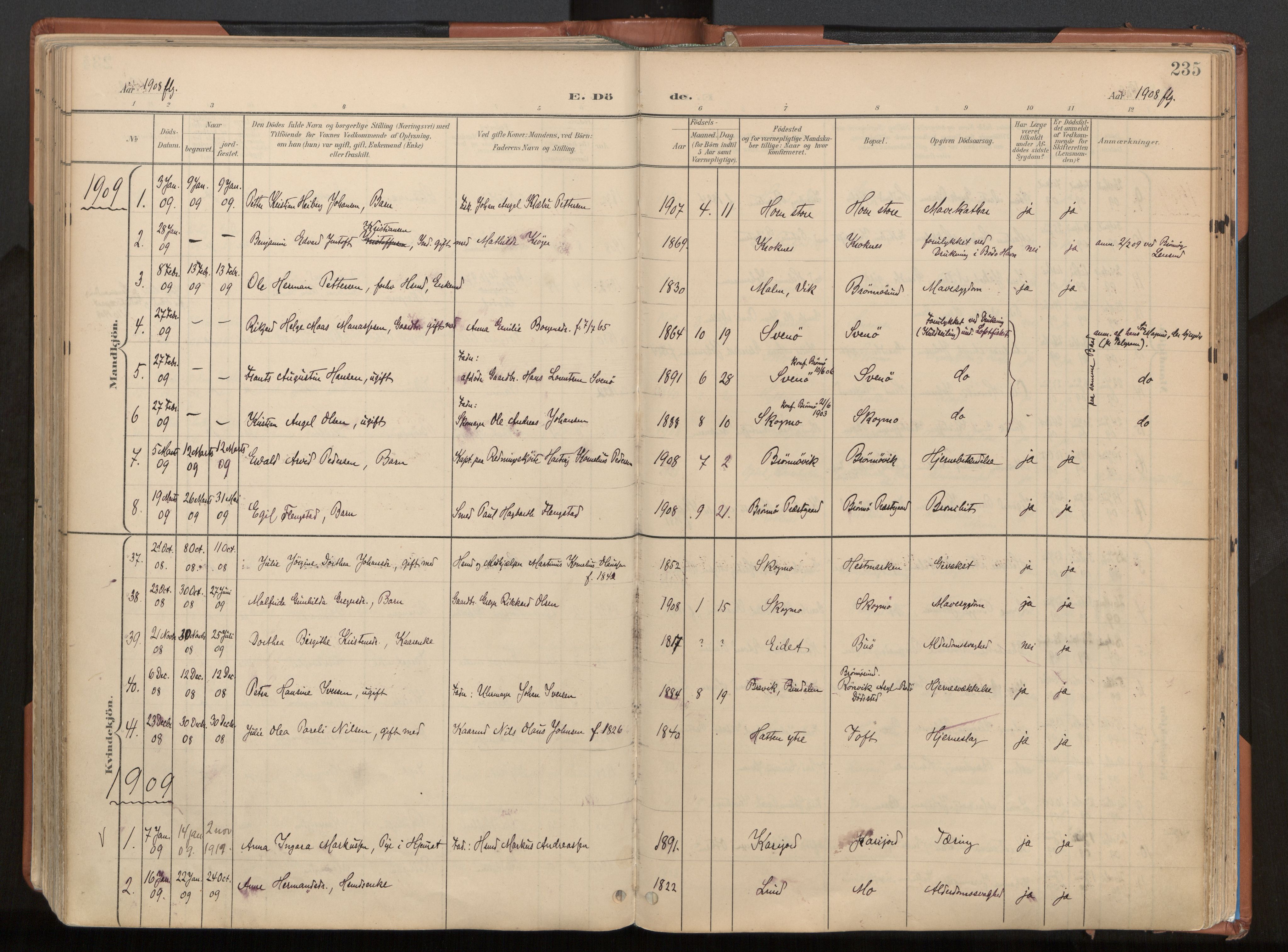 Ministerialprotokoller, klokkerbøker og fødselsregistre - Nordland, SAT/A-1459/813/L0201: Parish register (official) no. 813A11, 1901-1918, p. 235
