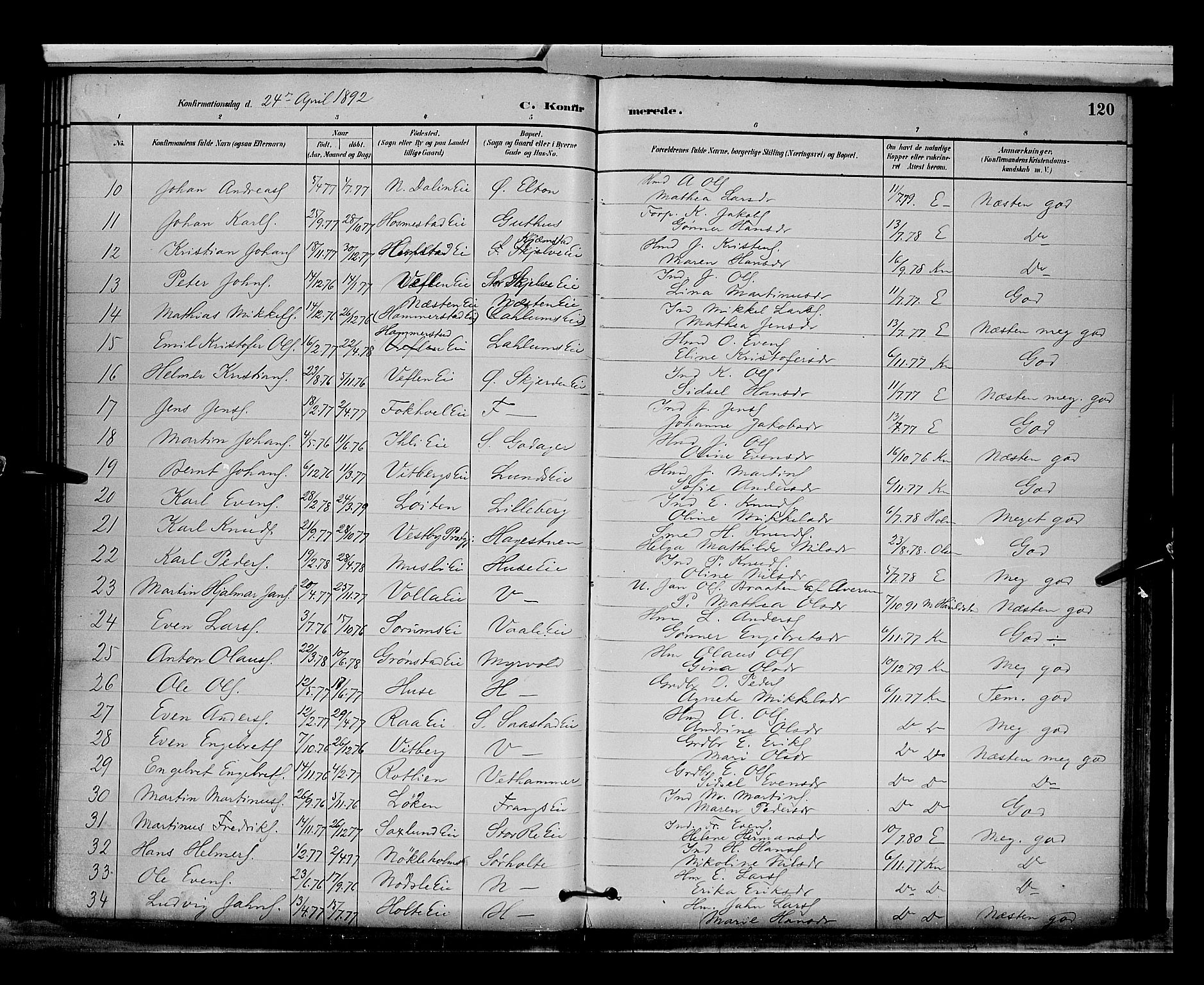 Stange prestekontor, AV/SAH-PREST-002/L/L0009: Parish register (copy) no. 9, 1883-1899, p. 120