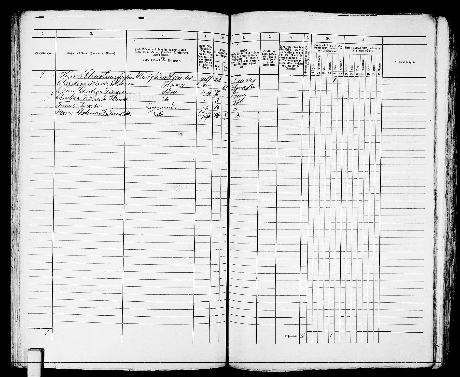 RA, 1865 census for Larvik, 1865, p. 254