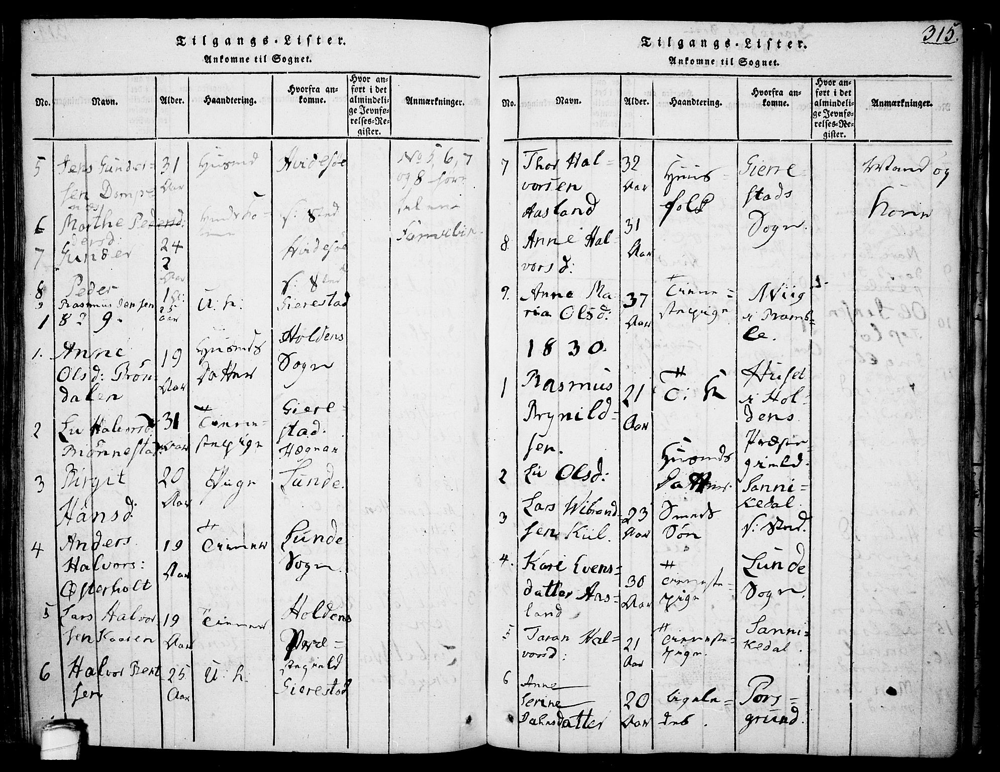 Drangedal kirkebøker, SAKO/A-258/F/Fa/L0005: Parish register (official) no. 5 /1, 1814-1831, p. 315