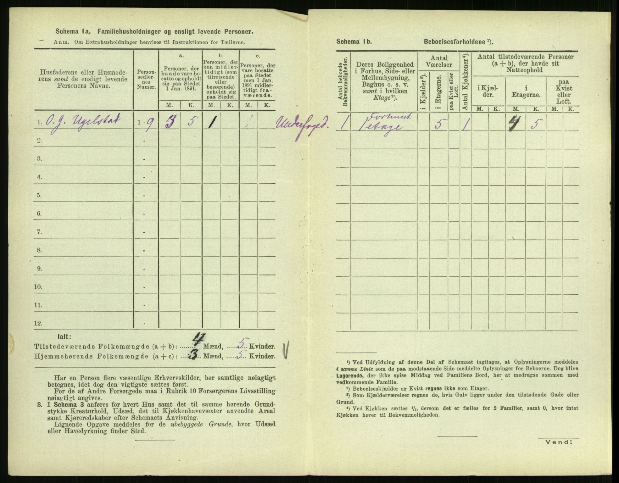 RA, 1891 census for 0707 Larvik, 1891, p. 1498