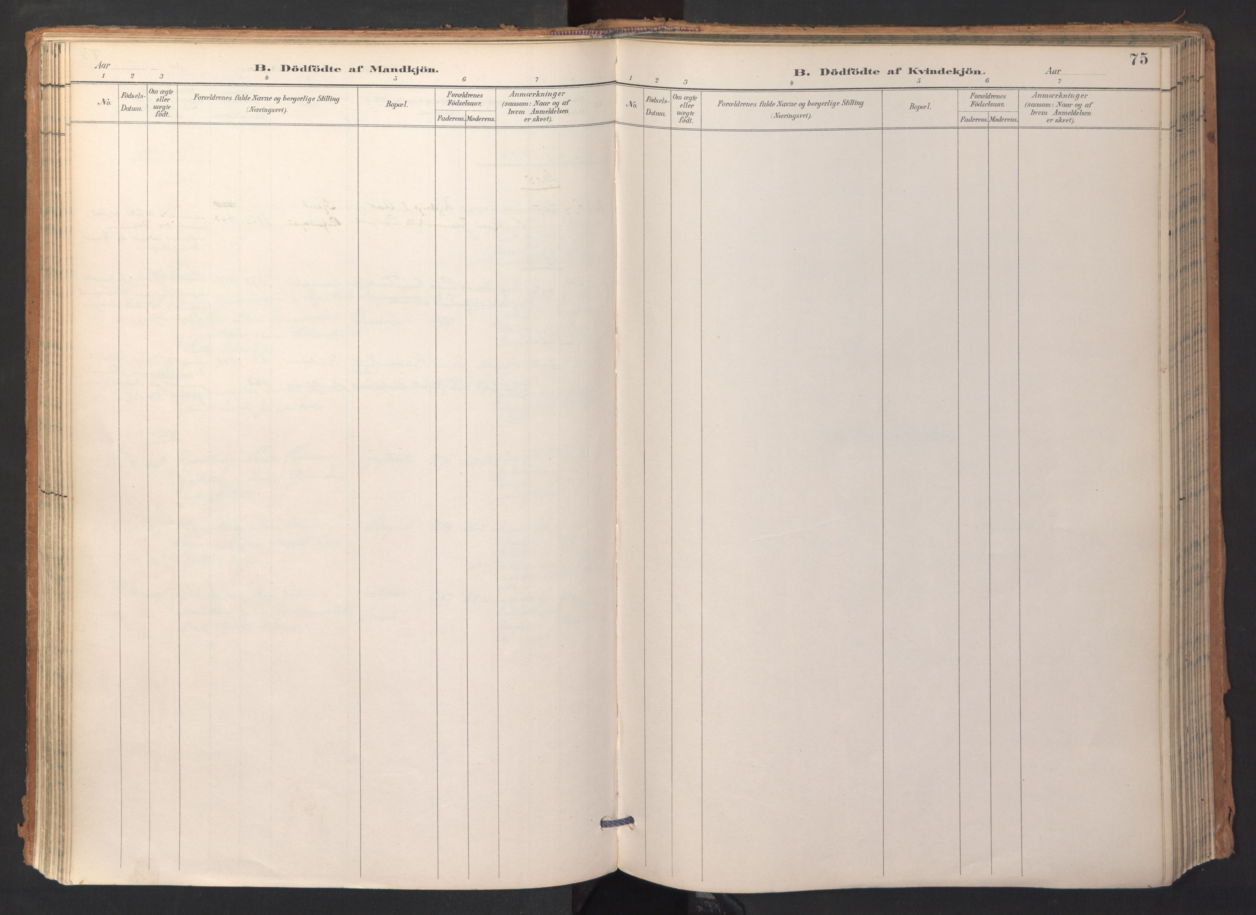 Ministerialprotokoller, klokkerbøker og fødselsregistre - Sør-Trøndelag, SAT/A-1456/688/L1025: Parish register (official) no. 688A02, 1891-1909, p. 75