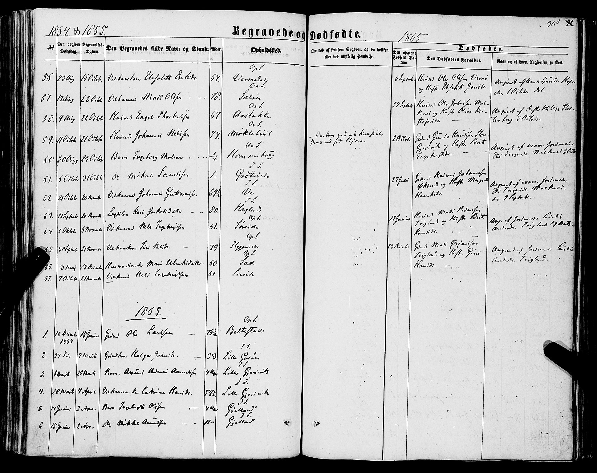 Tysnes sokneprestembete, AV/SAB-A-78601/H/Haa: Parish register (official) no. A 11, 1860-1871, p. 318