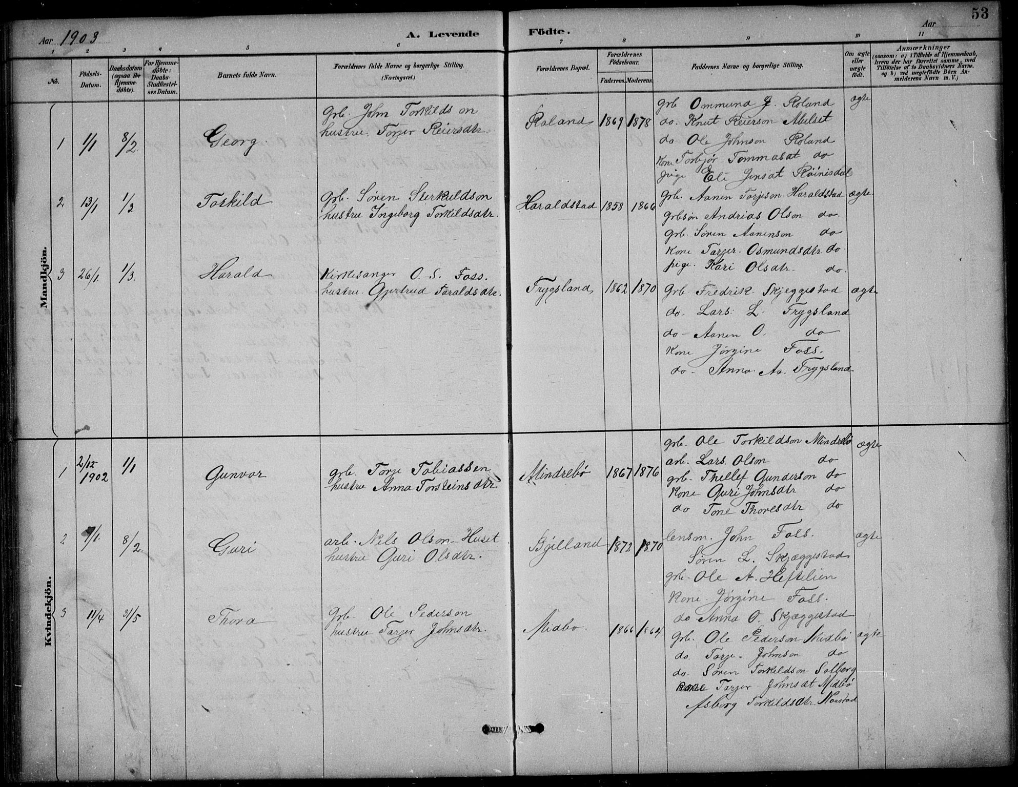 Bjelland sokneprestkontor, SAK/1111-0005/F/Fb/Fba/L0005: Parish register (copy) no. B 5, 1887-1923, p. 53