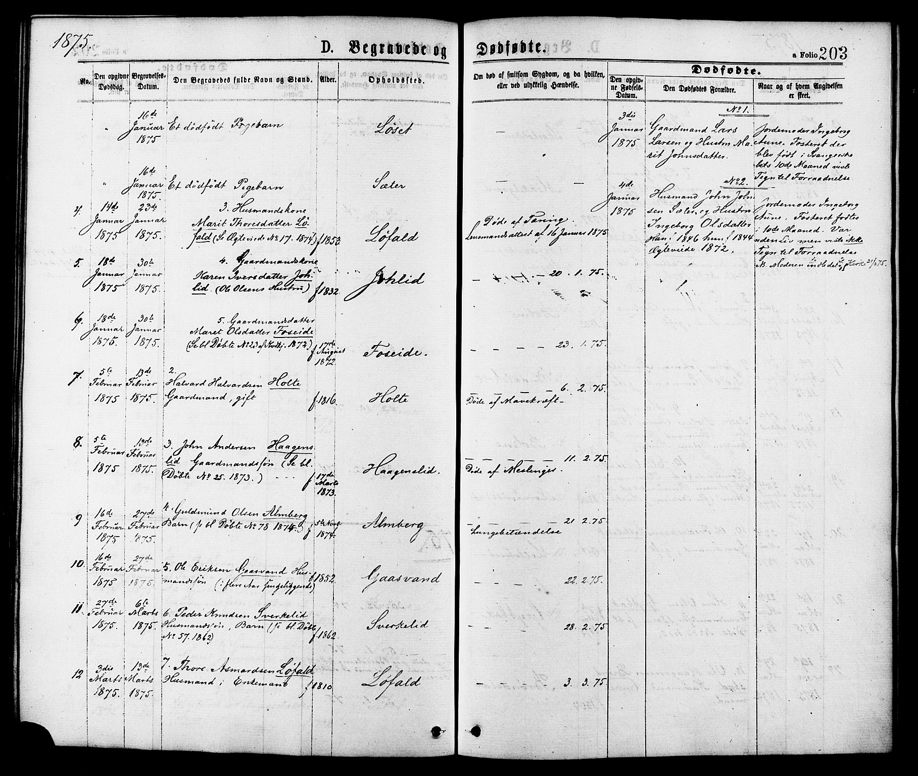 Ministerialprotokoller, klokkerbøker og fødselsregistre - Møre og Romsdal, SAT/A-1454/598/L1068: Parish register (official) no. 598A02, 1872-1881, p. 203