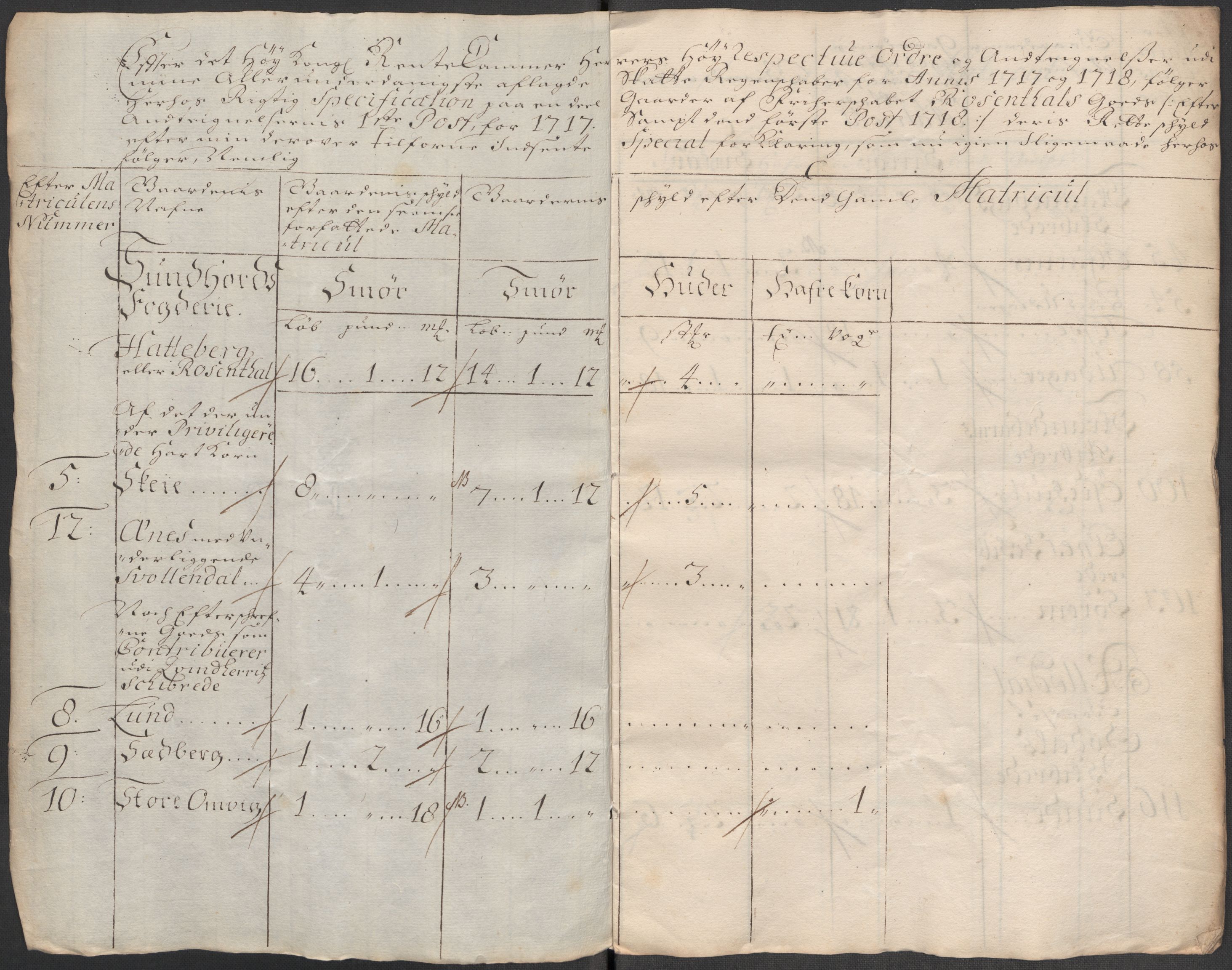 Rentekammeret inntil 1814, Reviderte regnskaper, Fogderegnskap, AV/RA-EA-4092/R49/L3140: Fogderegnskap Rosendal Baroni, 1718-1720, p. 84