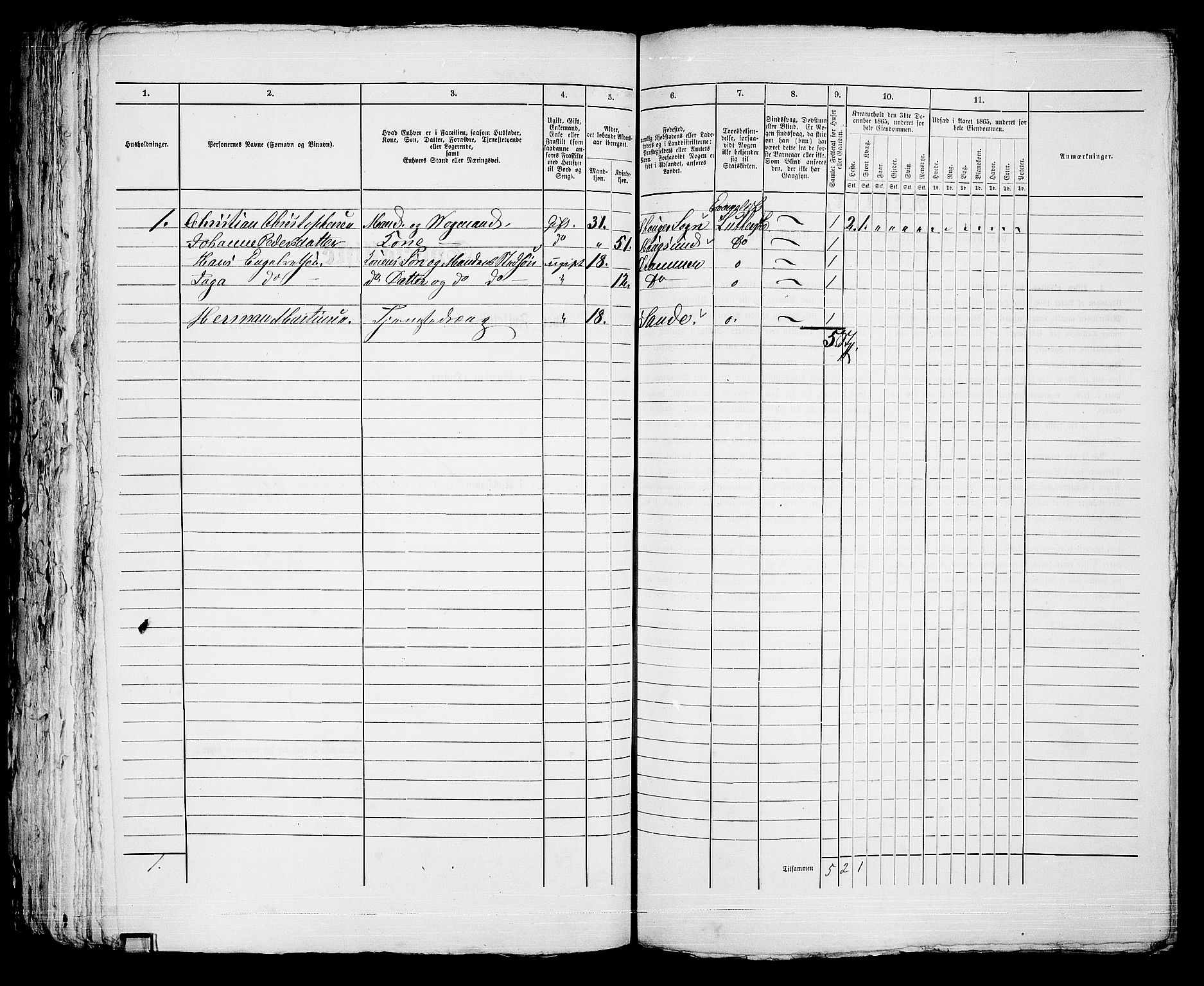 RA, 1865 census for Strømsø in Drammen, 1865, p. 826