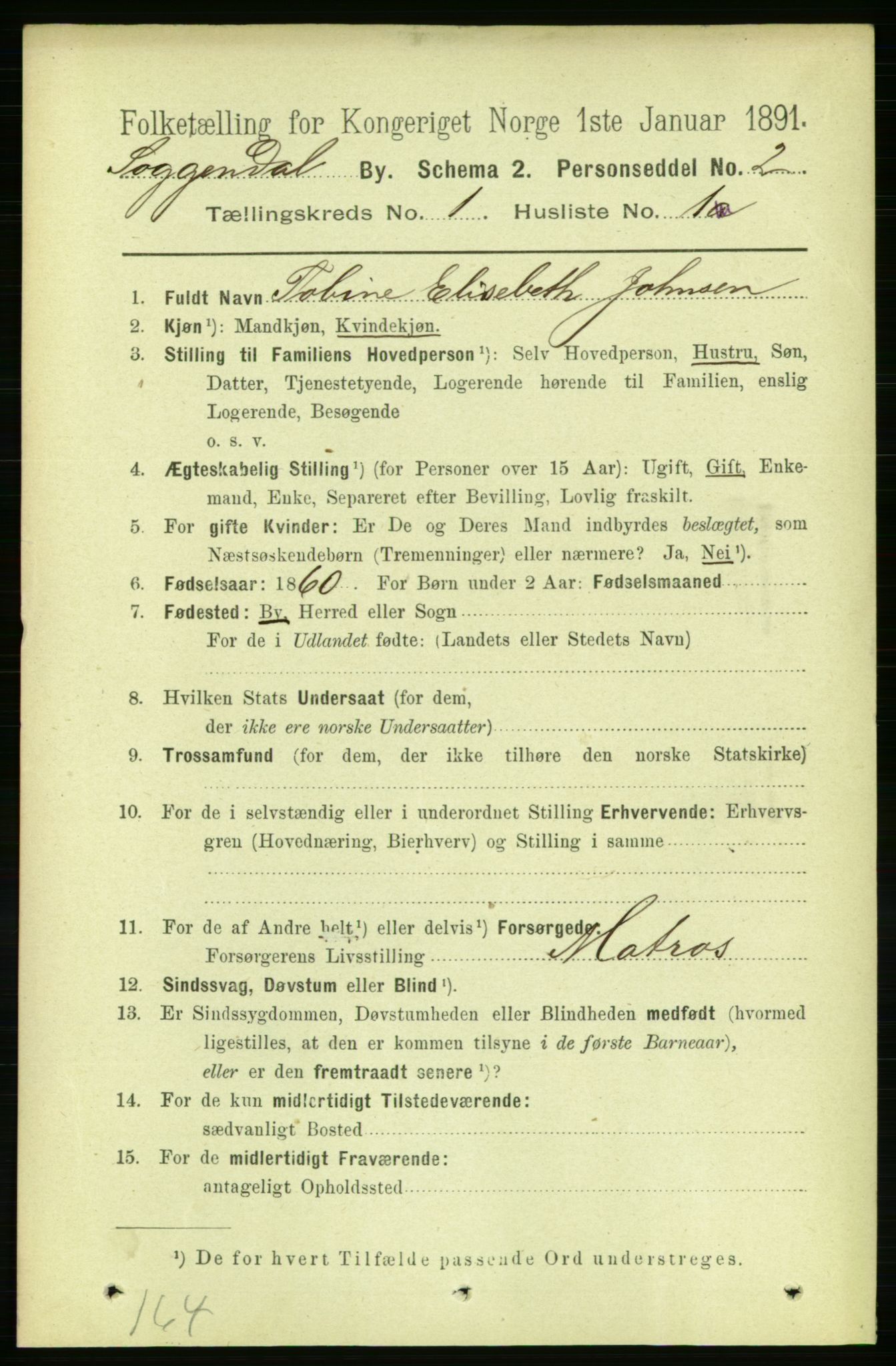 RA, 1891 census for 1107 Sokndal, 1891, p. 13