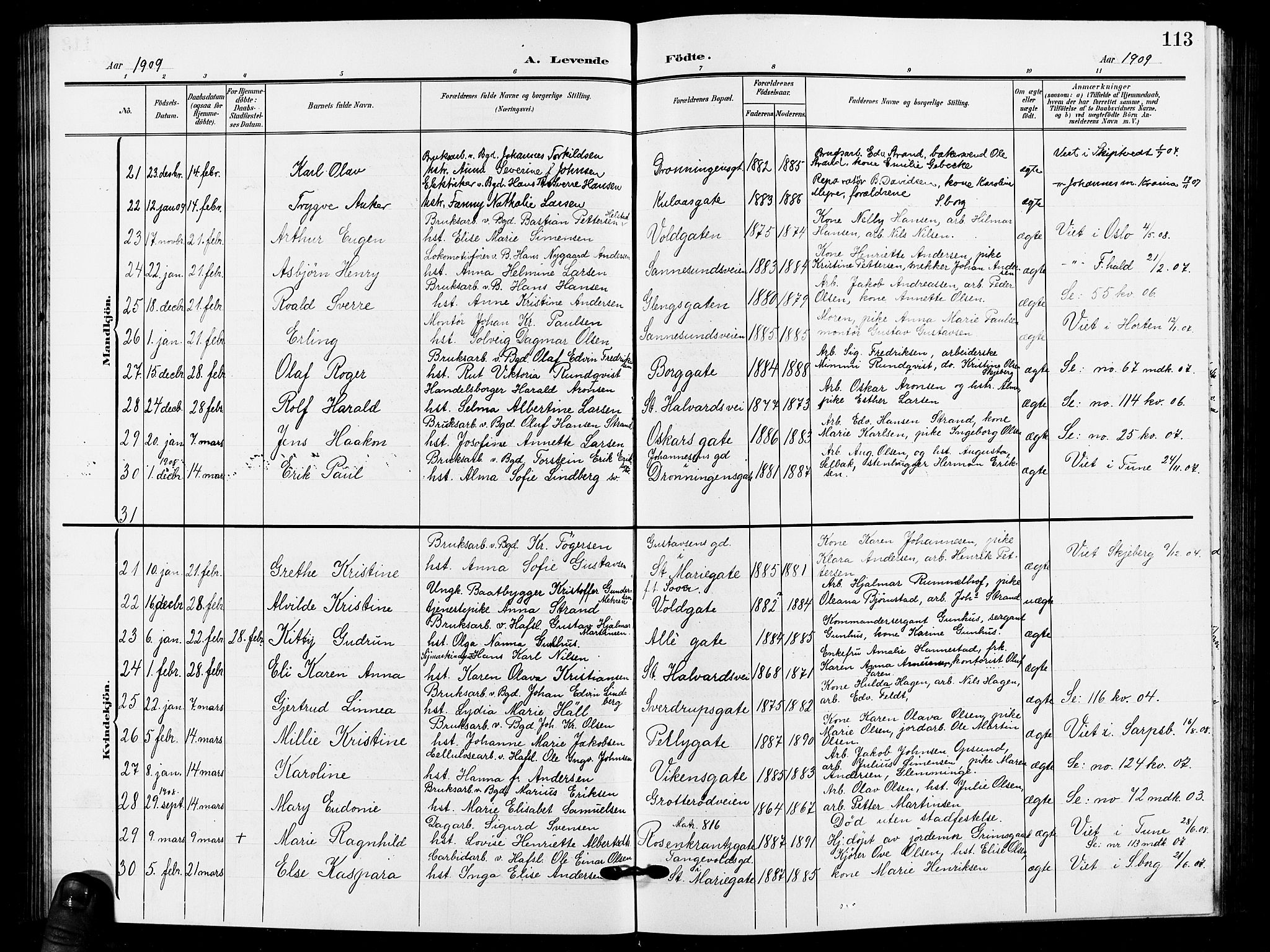 Sarpsborg prestekontor Kirkebøker, AV/SAO-A-2006/G/Ga/L0001: Parish register (copy) no. 1, 1902-1911, p. 113