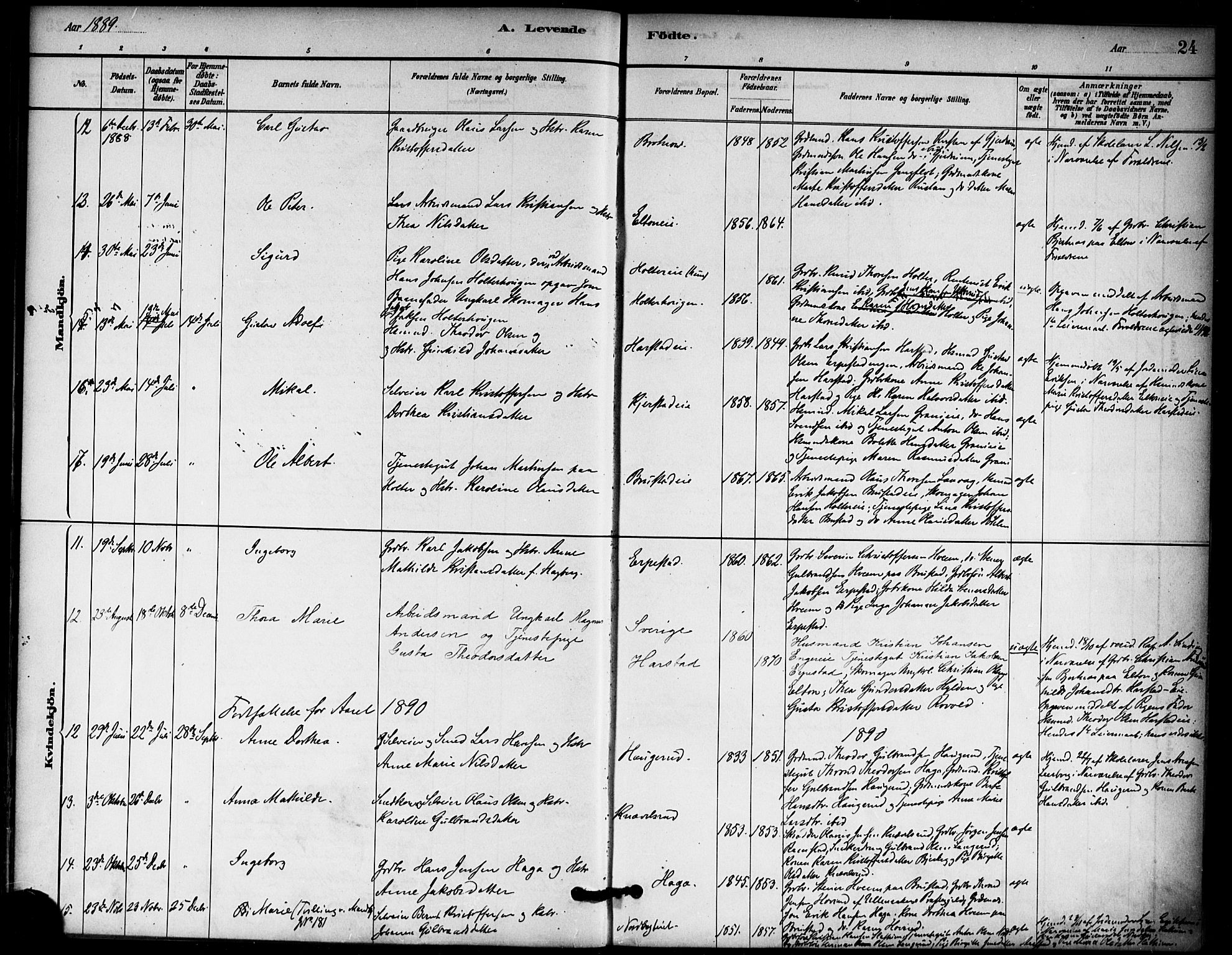 Nannestad prestekontor Kirkebøker, AV/SAO-A-10414a/F/Fb/L0001: Parish register (official) no. II 1, 1881-1890, p. 24