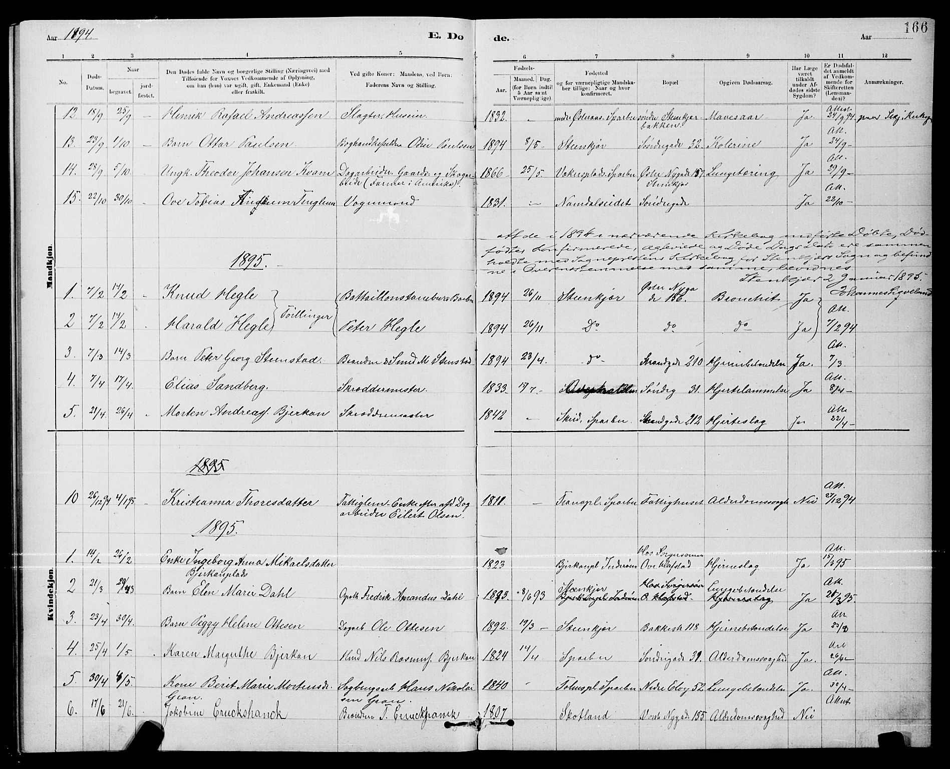 Ministerialprotokoller, klokkerbøker og fødselsregistre - Nord-Trøndelag, SAT/A-1458/739/L0374: Parish register (copy) no. 739C02, 1883-1898, p. 166