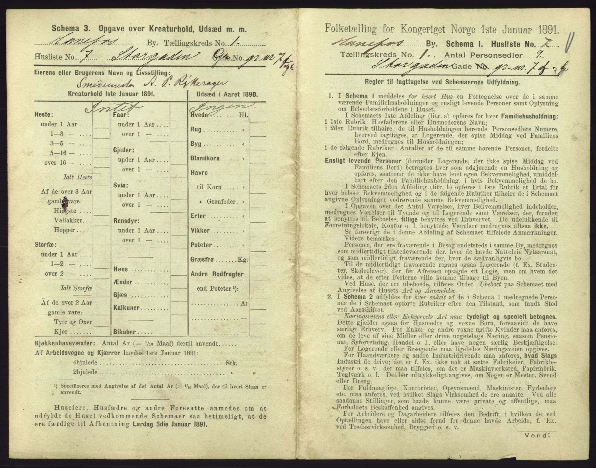 RA, 1891 census for 0601 Hønefoss, 1891, p. 79