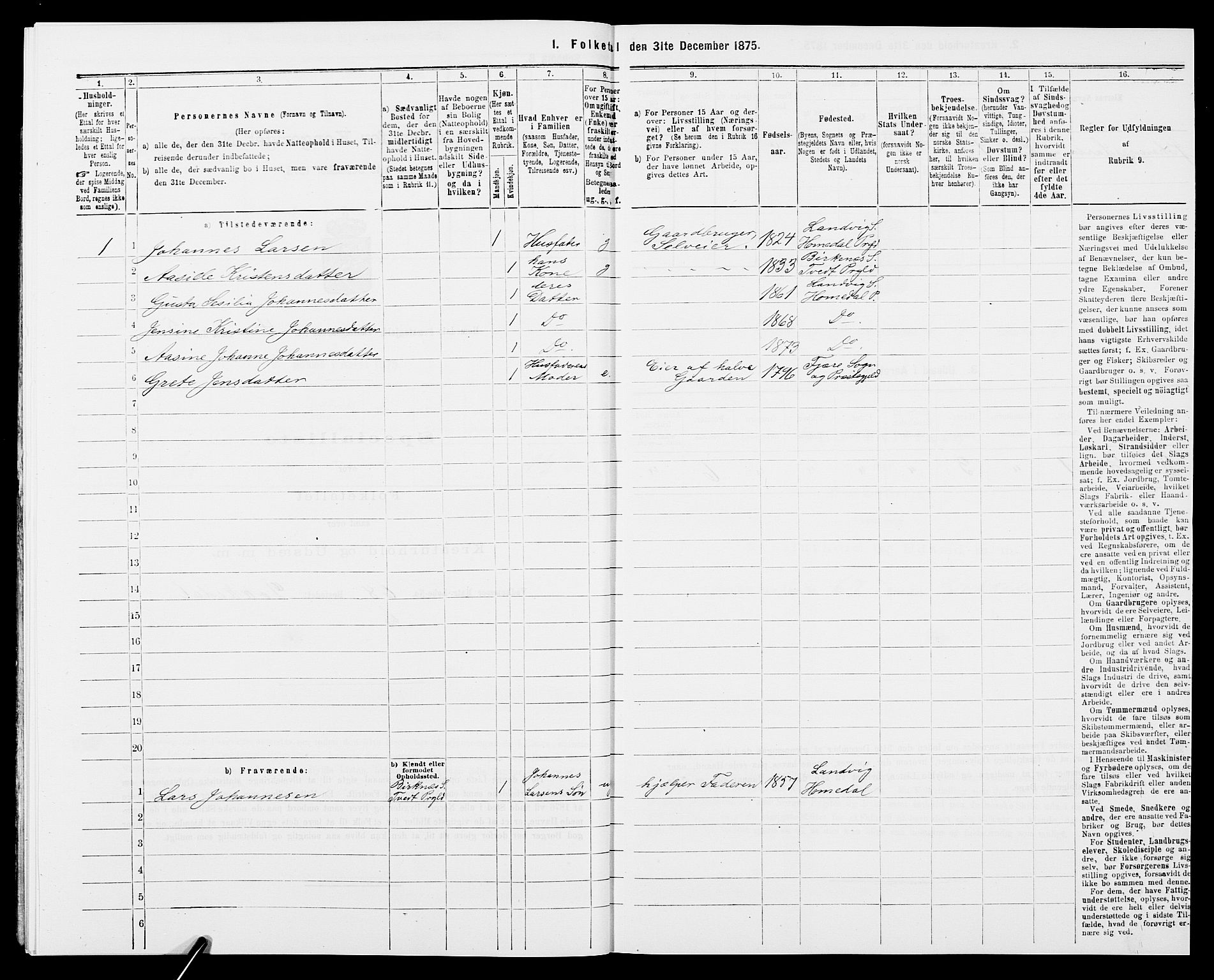 SAK, 1875 census for 0924P Homedal, 1875, p. 810