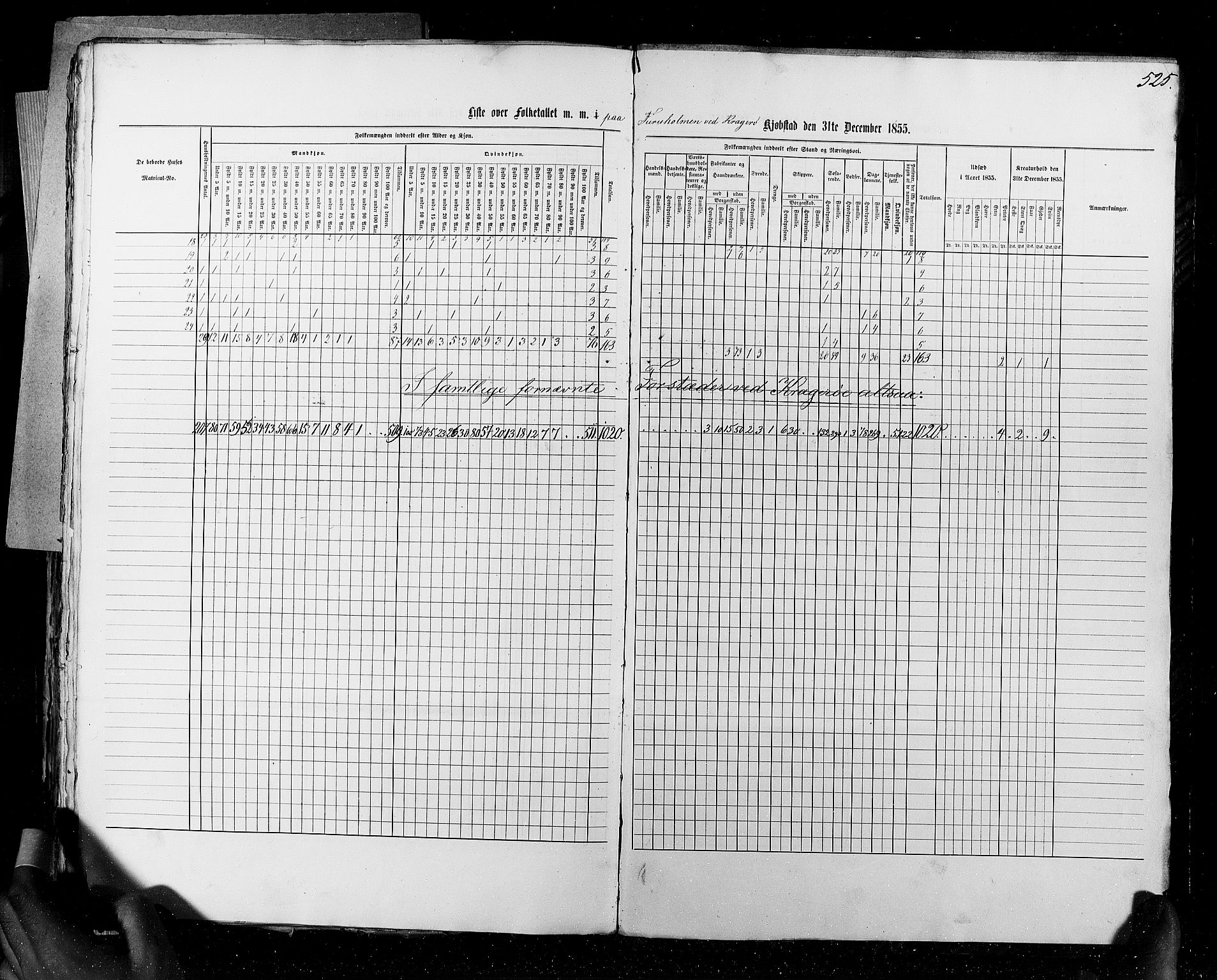 RA, Census 1855, vol. 7: Fredrikshald-Kragerø, 1855, p. 525