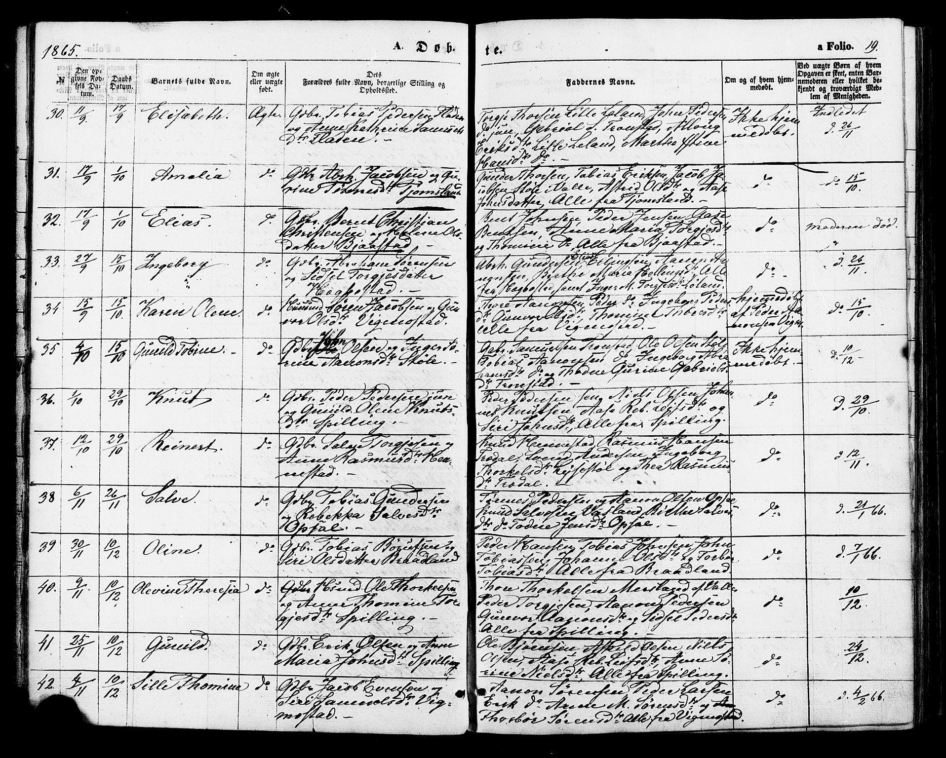 Nord-Audnedal sokneprestkontor, AV/SAK-1111-0032/F/Fa/Fab/L0002: Parish register (official) no. A 2, 1859-1882, p. 19