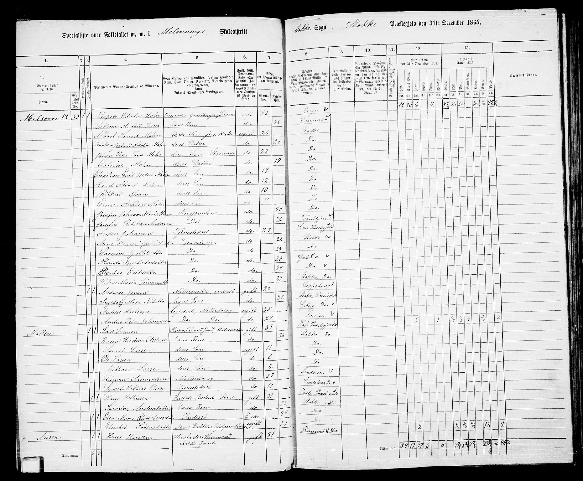 RA, 1865 census for Stokke, 1865, p. 37