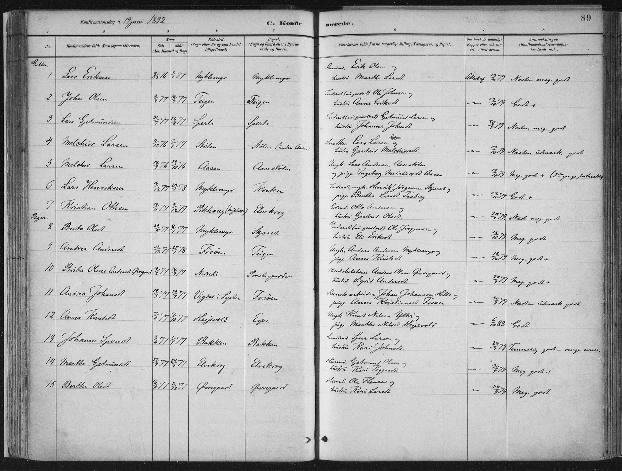 Jostedal sokneprestembete, SAB/A-80601/H/Haa/Haab/L0001: Parish register (official) no. B 1, 1887-1914, p. 89