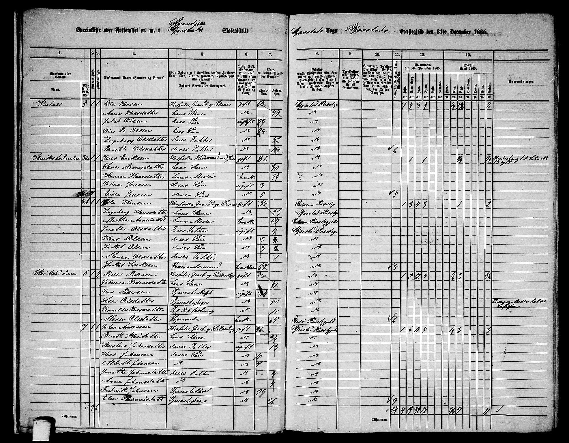 RA, 1865 census for Skjerstad, 1865, p. 15