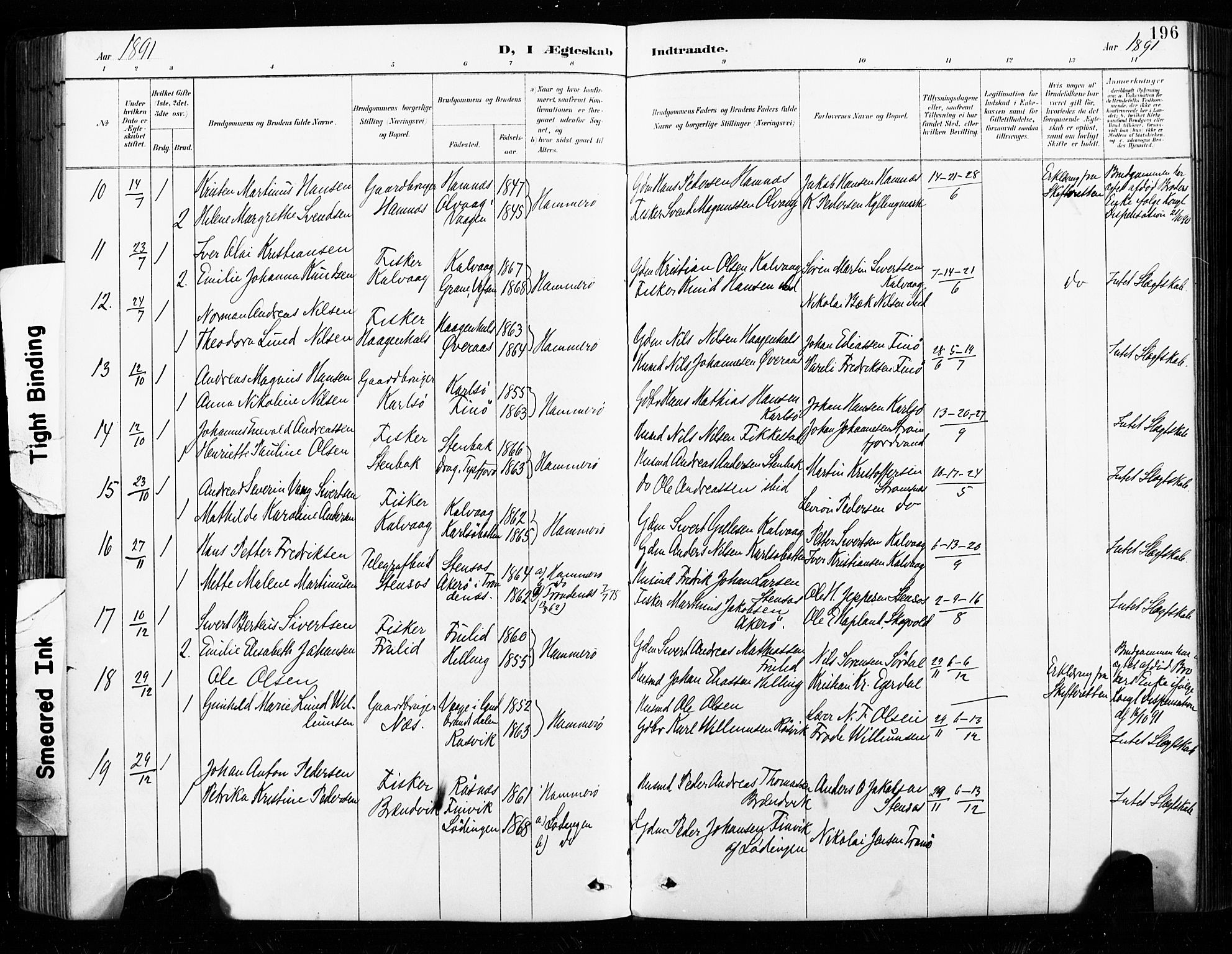 Ministerialprotokoller, klokkerbøker og fødselsregistre - Nordland, AV/SAT-A-1459/859/L0847: Parish register (official) no. 859A07, 1890-1899, p. 196