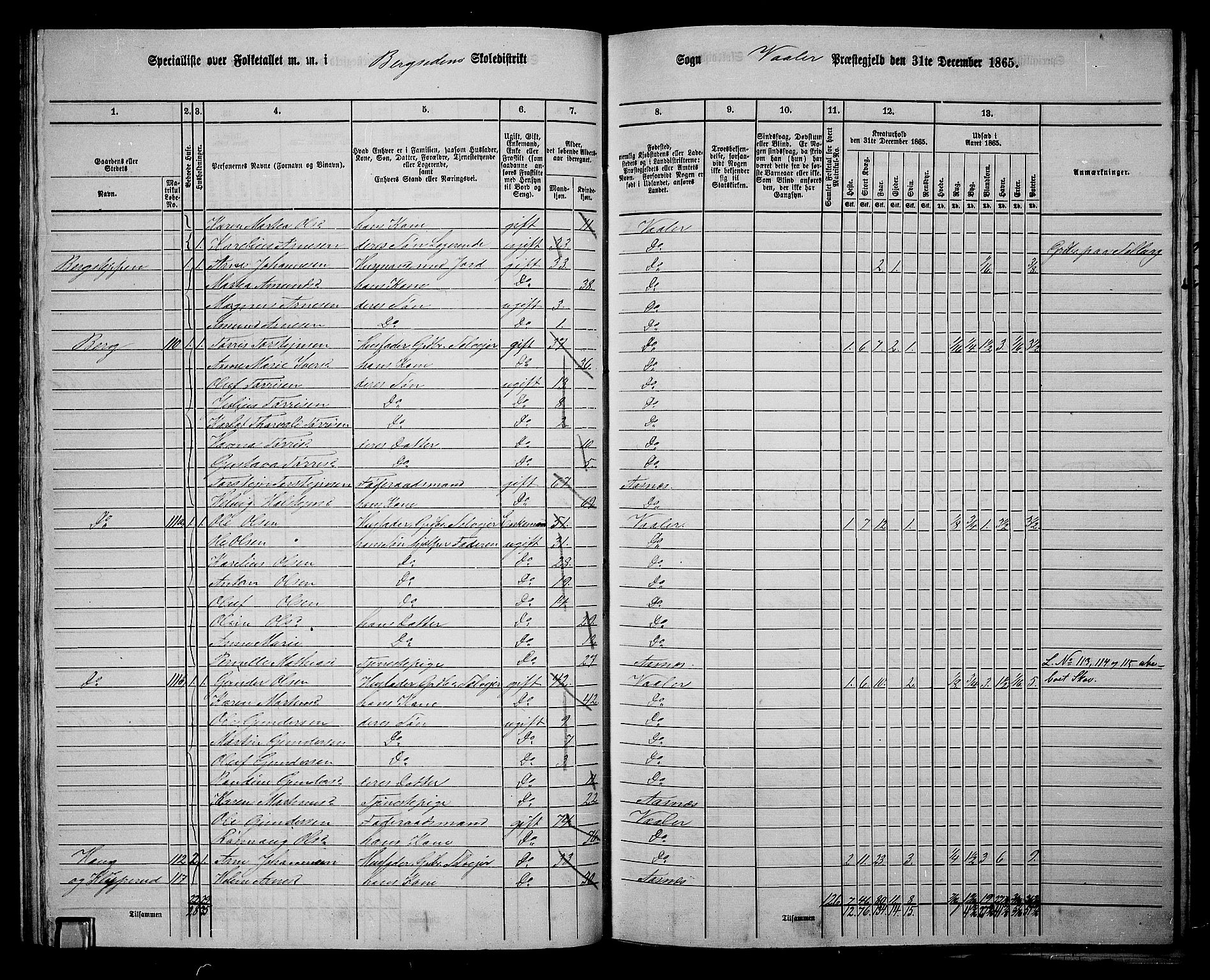 RA, 1865 census for Våler, 1865, p. 55