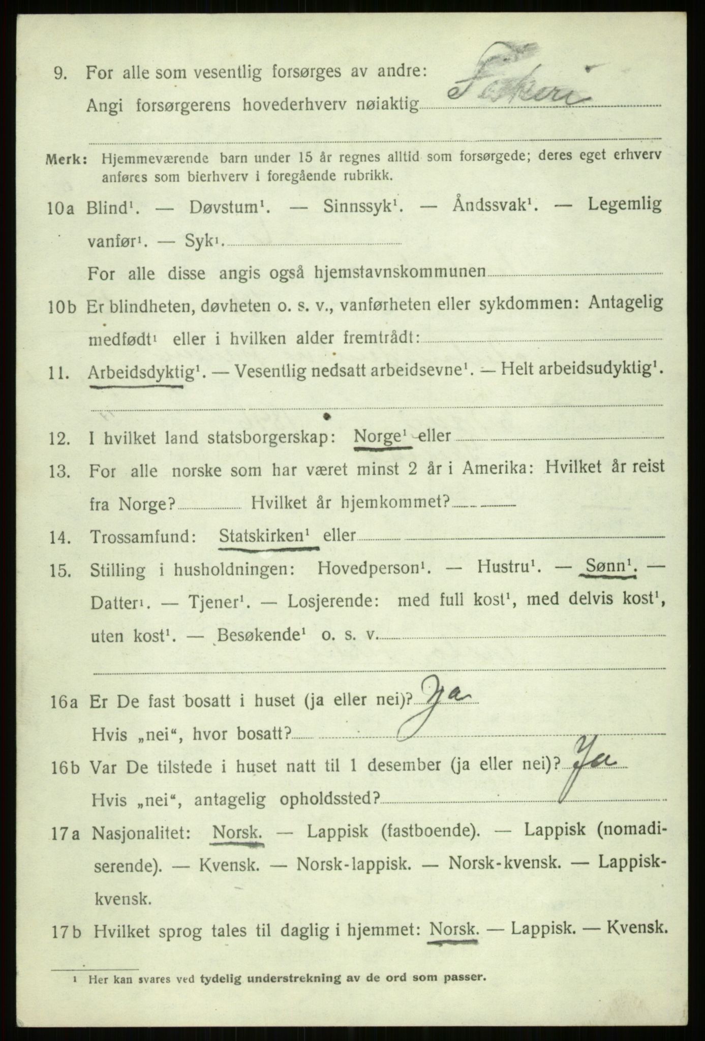 SATØ, 1920 census for Ibestad, 1920, p. 12565