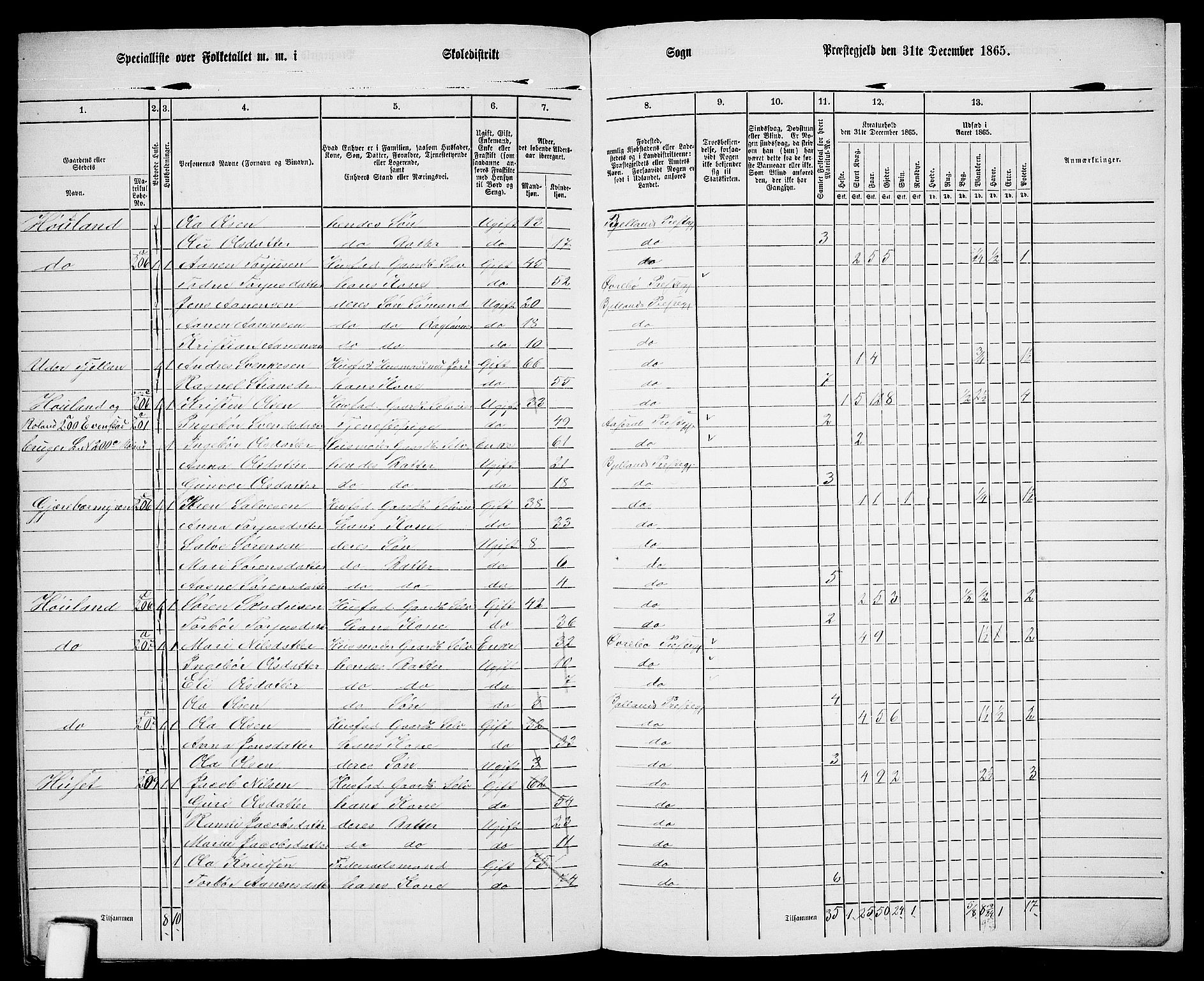 RA, 1865 census for Bjelland, 1865, p. 119