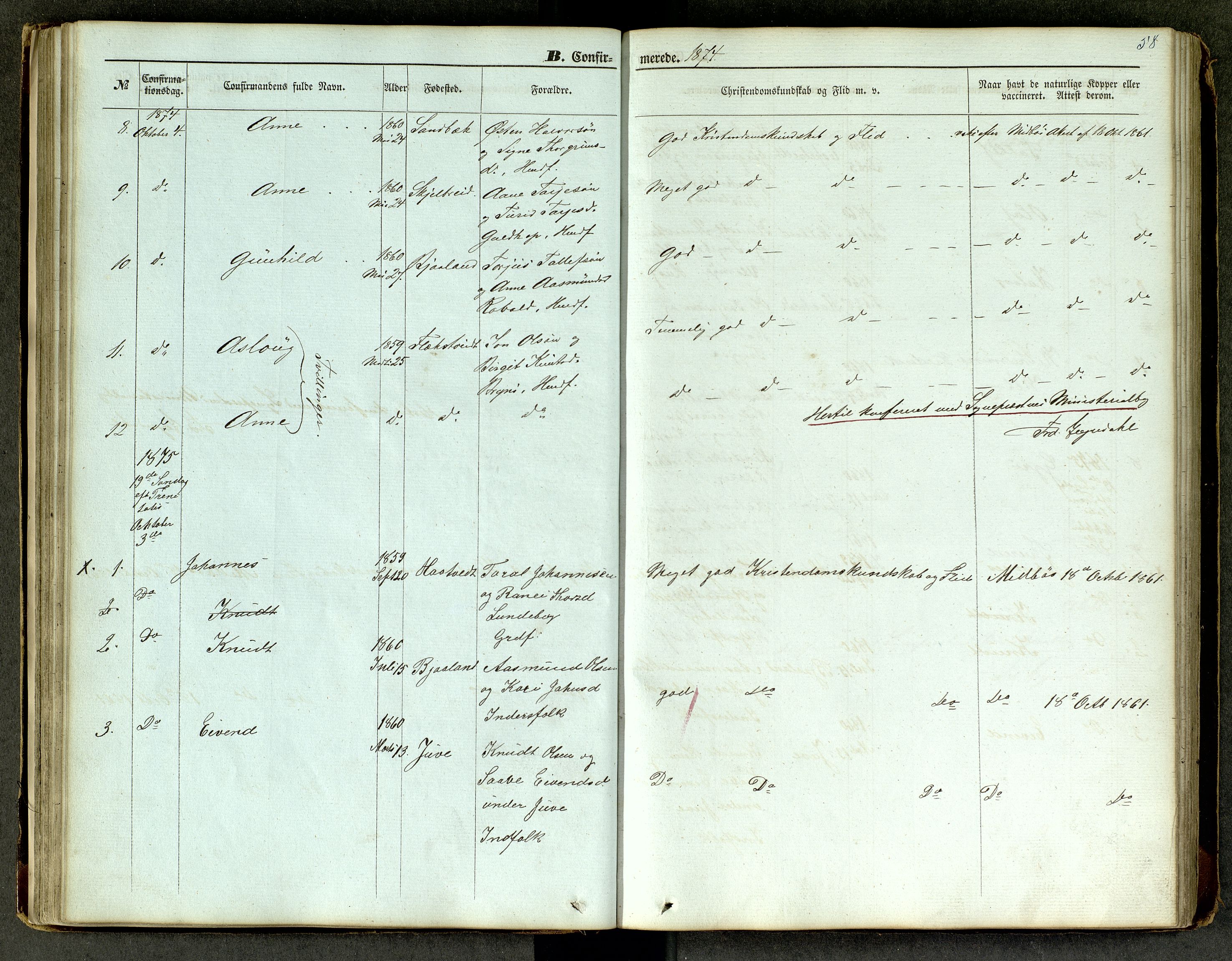 Lårdal kirkebøker, SAKO/A-284/G/Ga/L0002: Parish register (copy) no. I 2, 1861-1890, p. 58