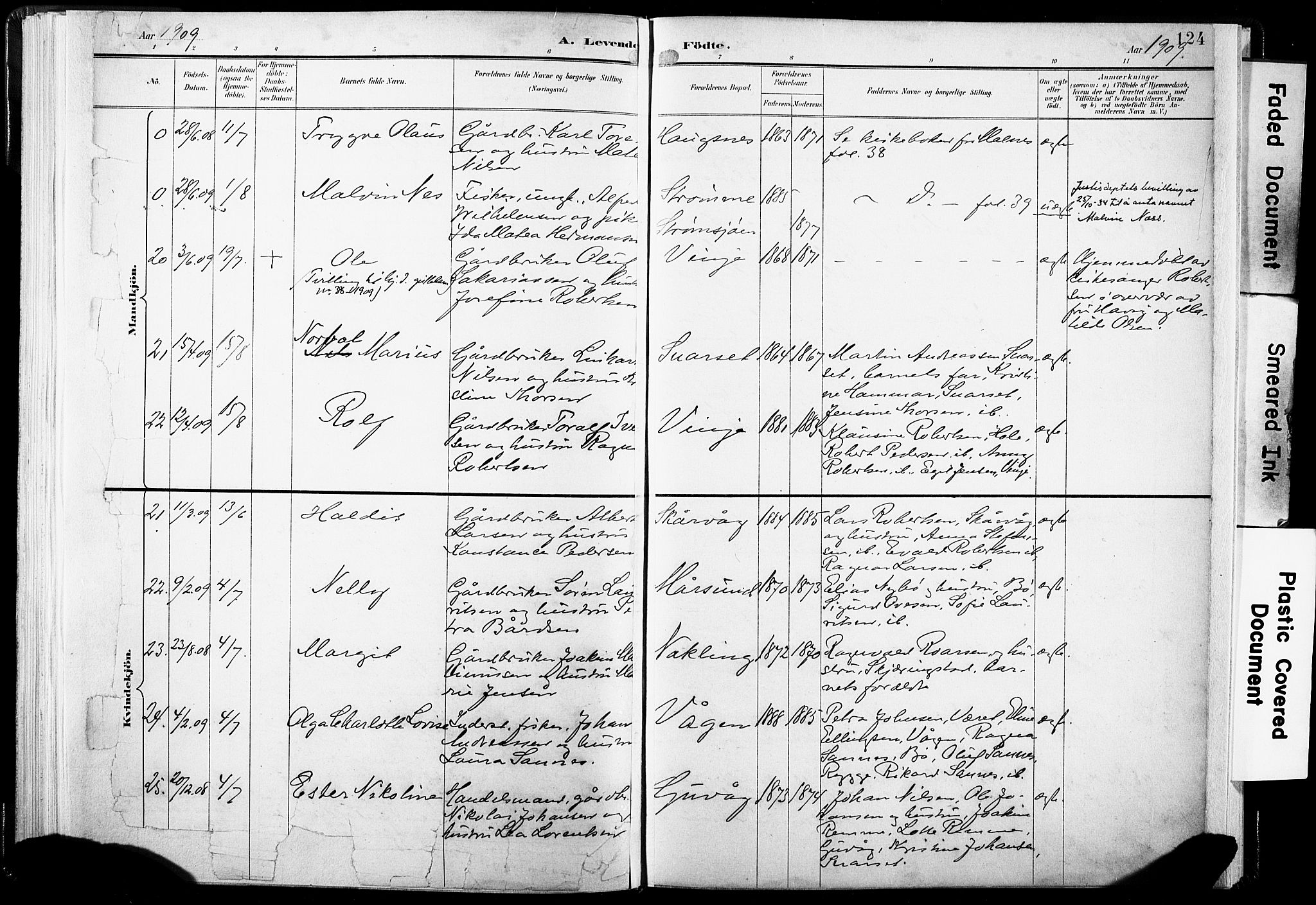 Ministerialprotokoller, klokkerbøker og fødselsregistre - Nordland, AV/SAT-A-1459/891/L1304: Parish register (official) no. 891A09, 1895-1921, p. 124