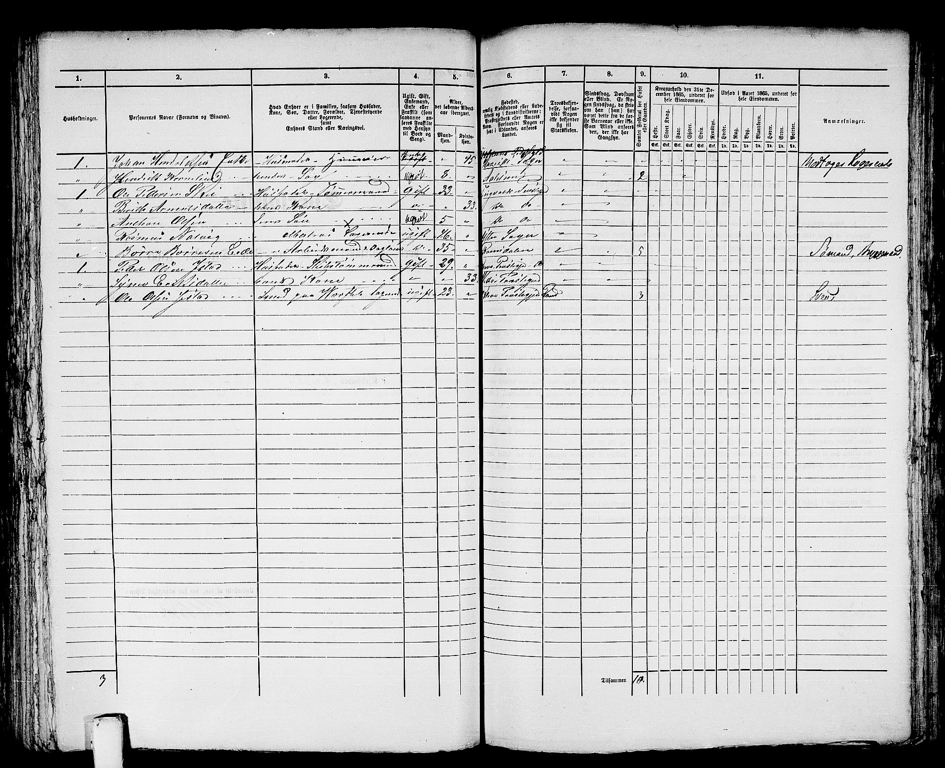 RA, 1865 census for Ålesund, 1865, p. 346