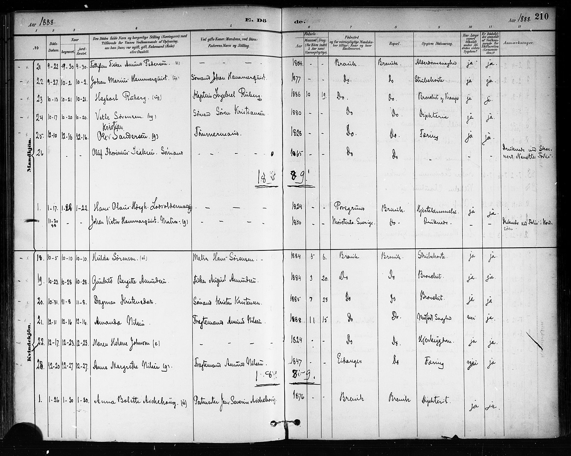 Brevik kirkebøker, AV/SAKO-A-255/F/Fa/L0007: Parish register (official) no. 7, 1882-1900, p. 210