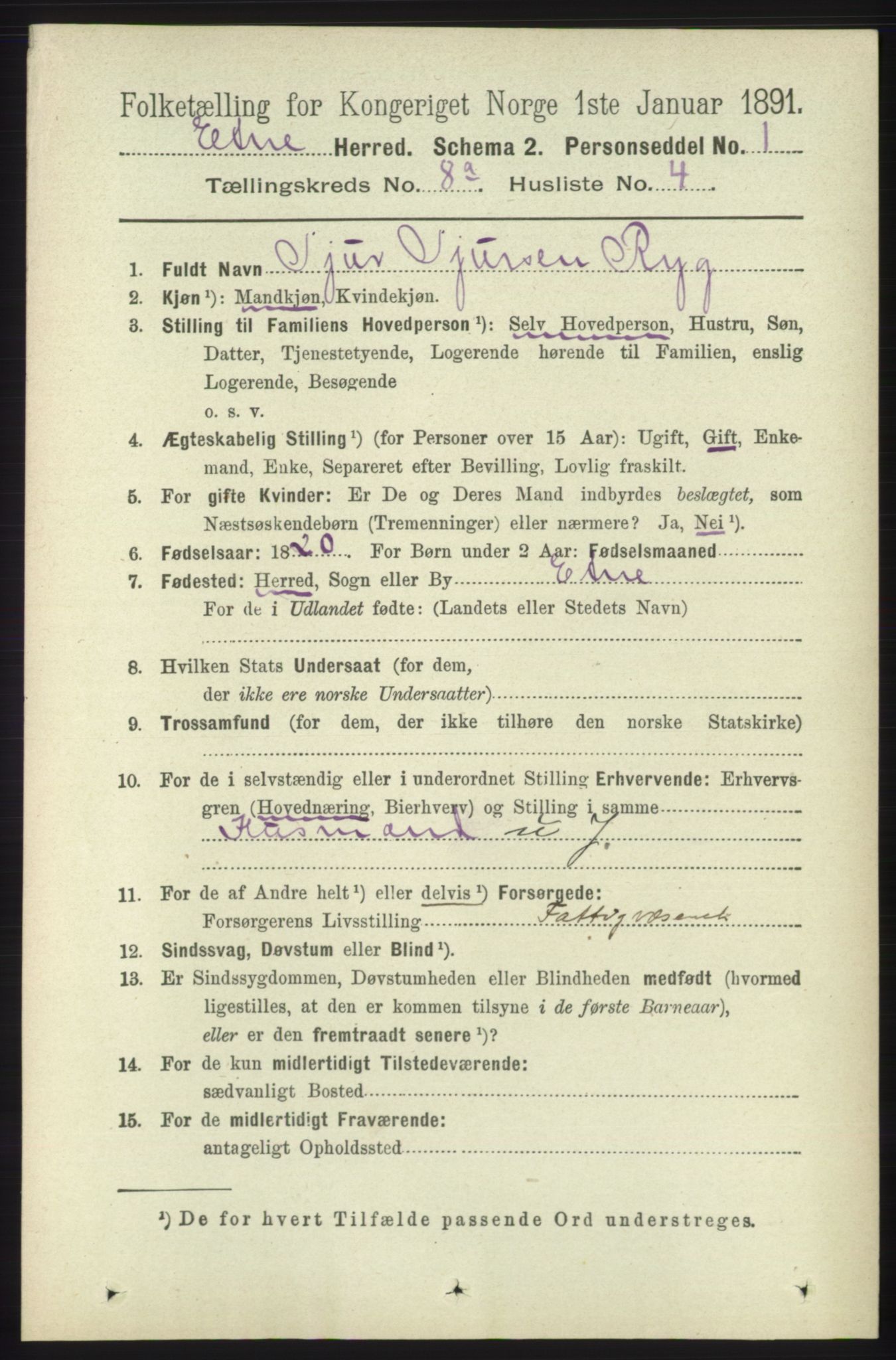 RA, 1891 census for 1211 Etne, 1891, p. 1553