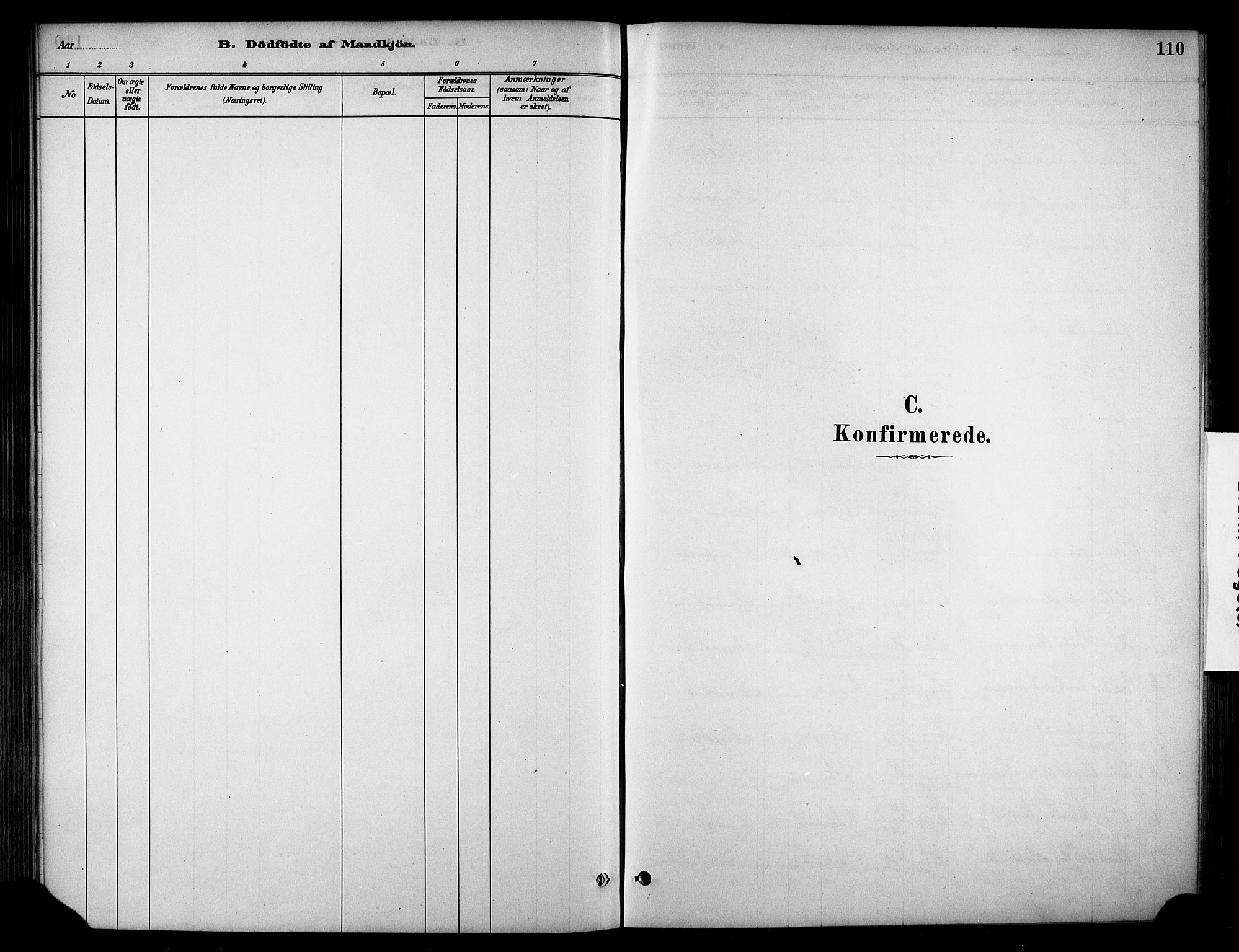 Stange prestekontor, SAH/PREST-002/K/L0018: Parish register (official) no. 18, 1880-1896, p. 110