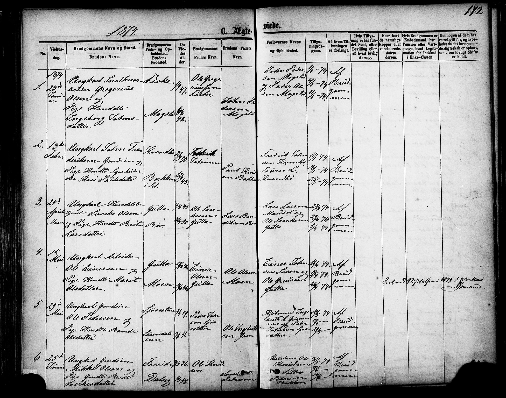Ministerialprotokoller, klokkerbøker og fødselsregistre - Møre og Romsdal, SAT/A-1454/595/L1046: Parish register (official) no. 595A08, 1874-1884, p. 172