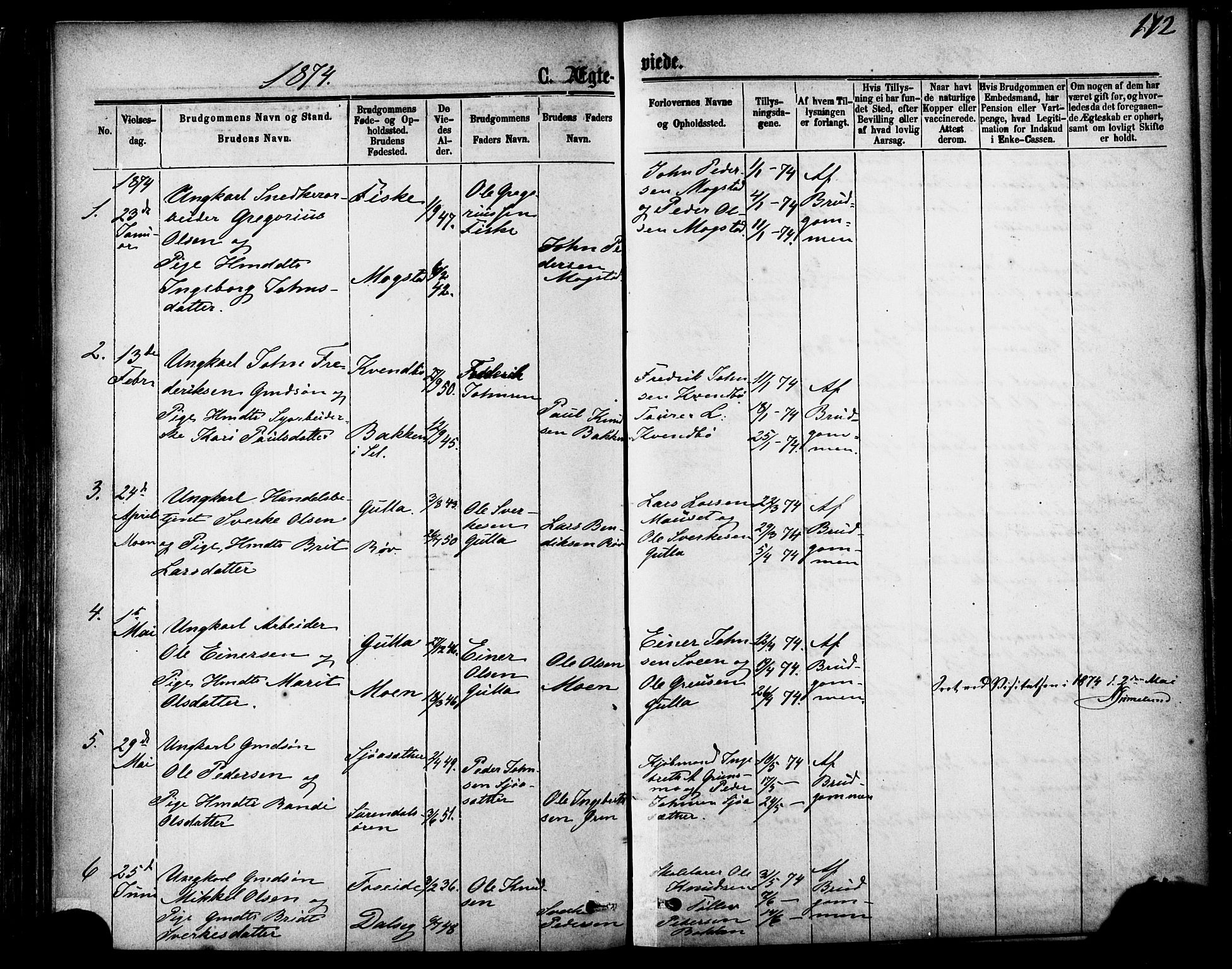 Ministerialprotokoller, klokkerbøker og fødselsregistre - Møre og Romsdal, AV/SAT-A-1454/595/L1046: Parish register (official) no. 595A08, 1874-1884, p. 172