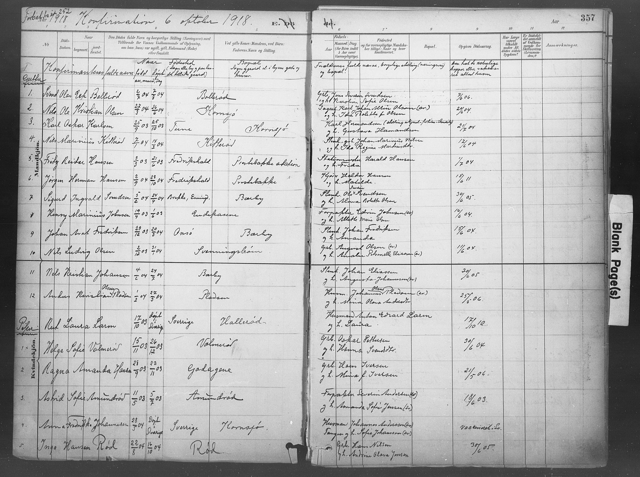 Idd prestekontor Kirkebøker, SAO/A-10911/F/Fb/L0002: Parish register (official) no. II 2, 1882-1923, p. 357