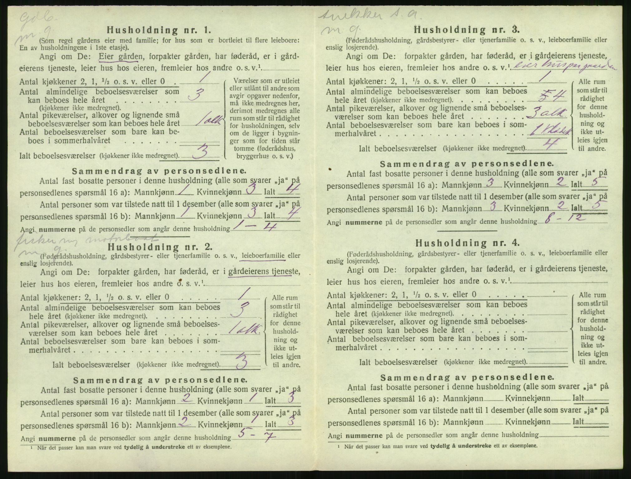 SAT, 1920 census for Sande (MR), 1920, p. 197