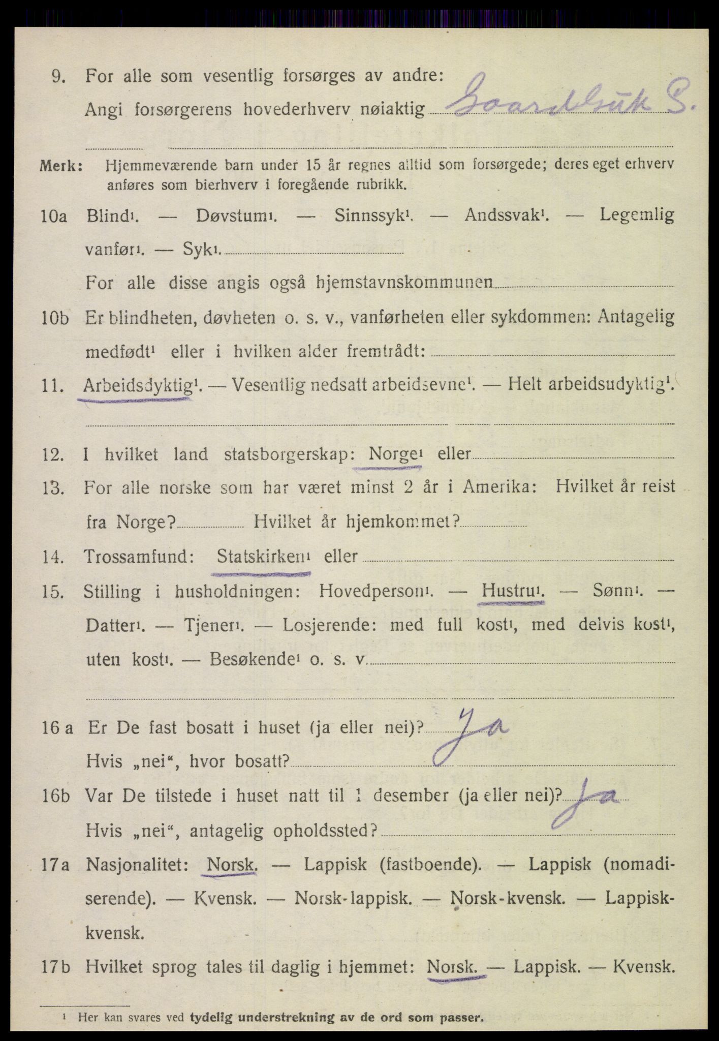 SAT, 1920 census for Hamarøy, 1920, p. 4591