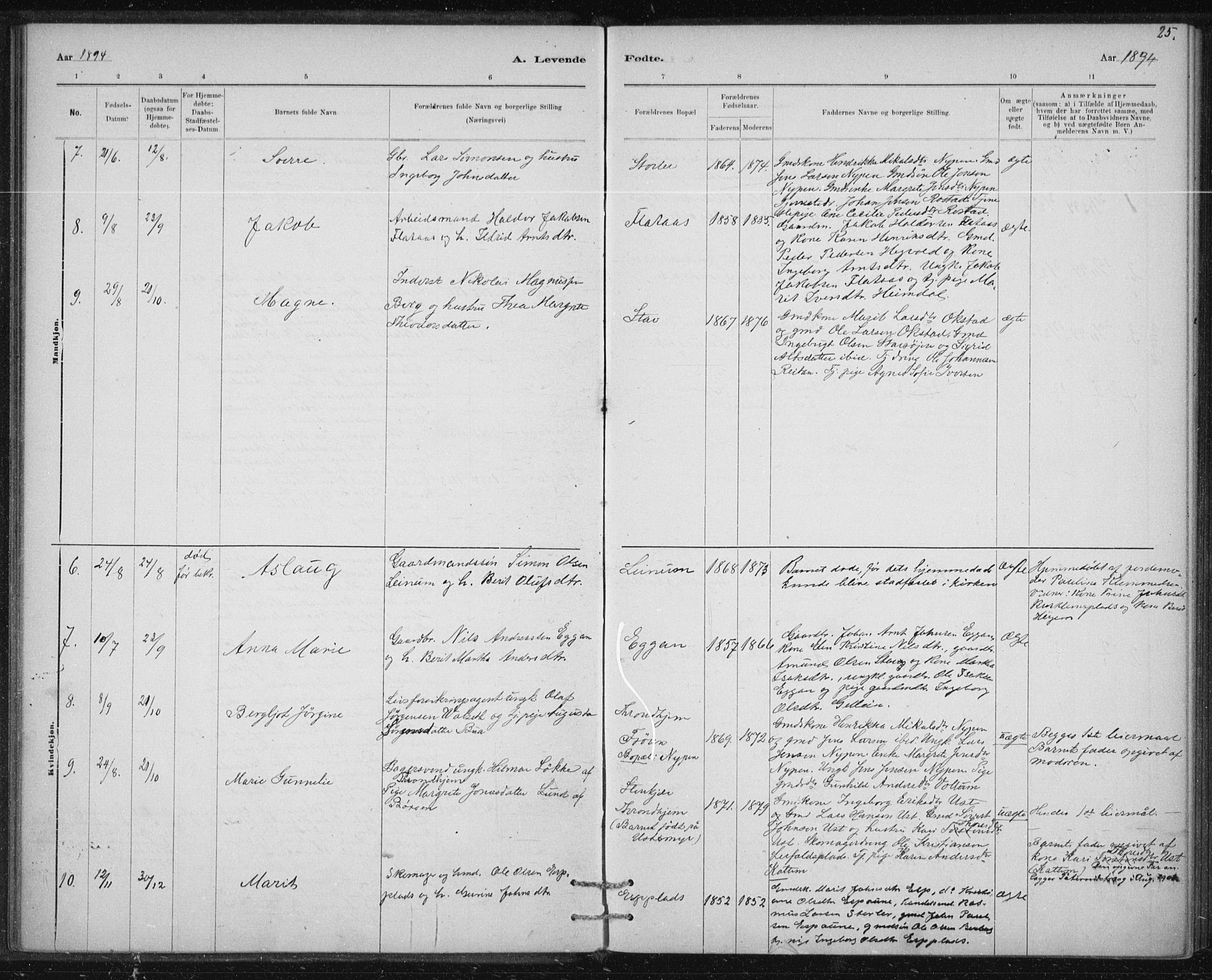 Ministerialprotokoller, klokkerbøker og fødselsregistre - Sør-Trøndelag, AV/SAT-A-1456/613/L0392: Parish register (official) no. 613A01, 1887-1906, p. 25