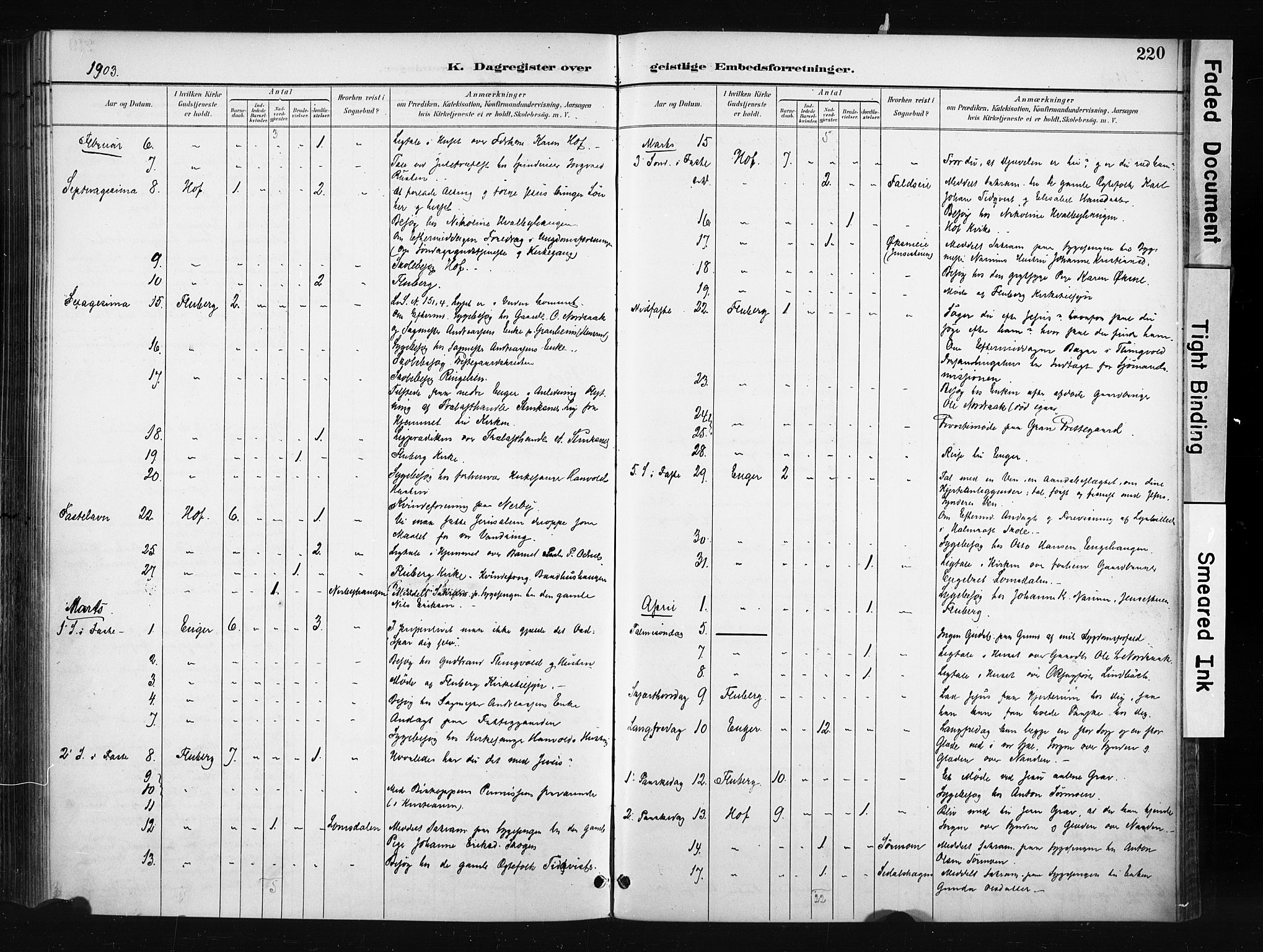 Søndre Land prestekontor, AV/SAH-PREST-122/K/L0004: Parish register (official) no. 4, 1895-1904, p. 220