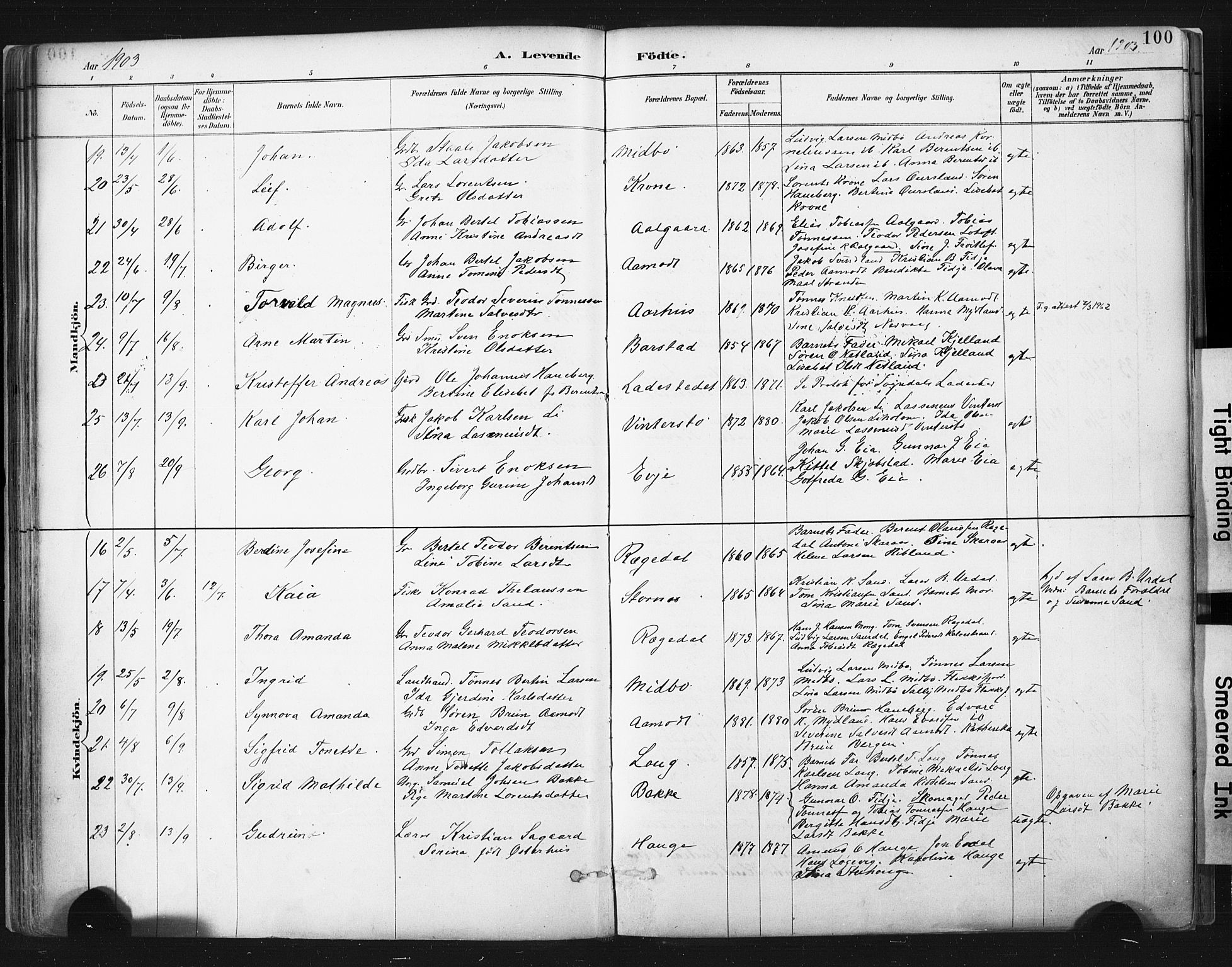 Sokndal sokneprestkontor, SAST/A-101808: Parish register (official) no. A 11.1, 1887-1905, p. 100