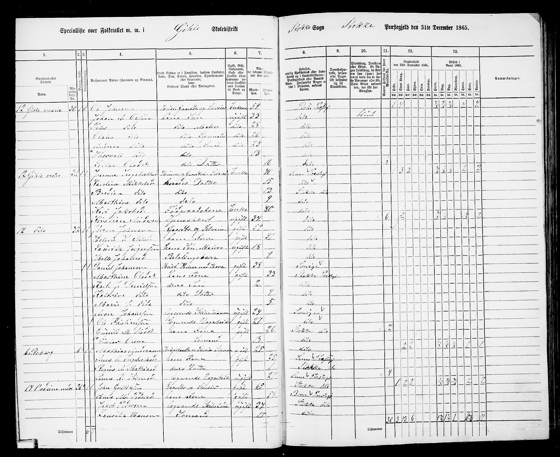 RA, 1865 census for Stokke, 1865, p. 28
