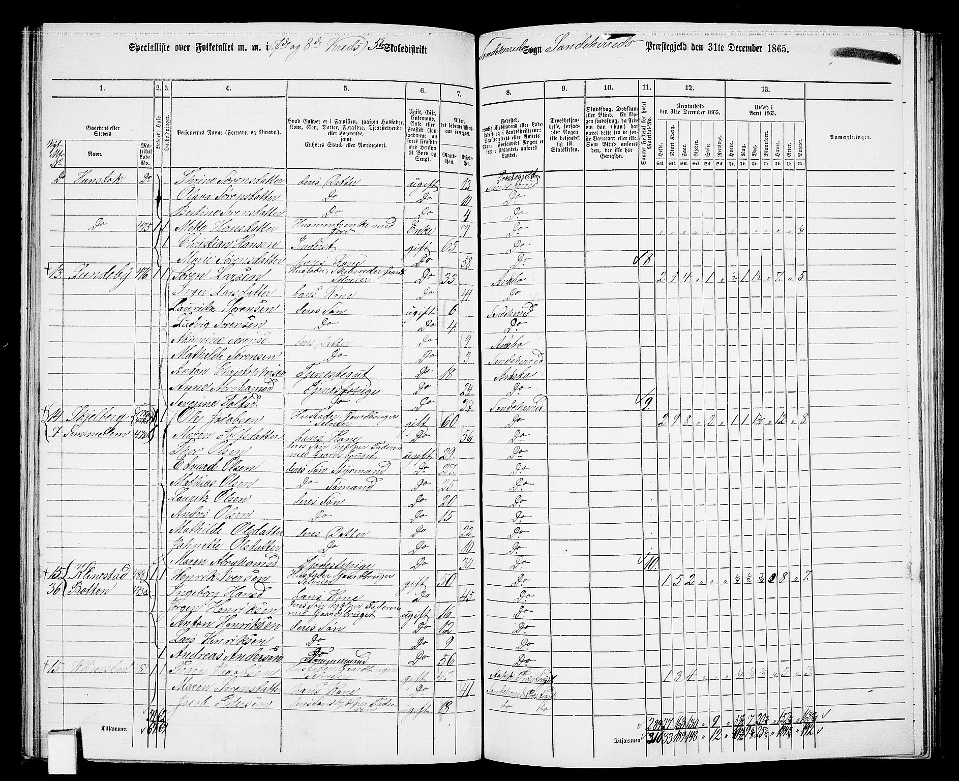 RA, 1865 census for Sandeherred/Sandeherred, 1865, p. 141