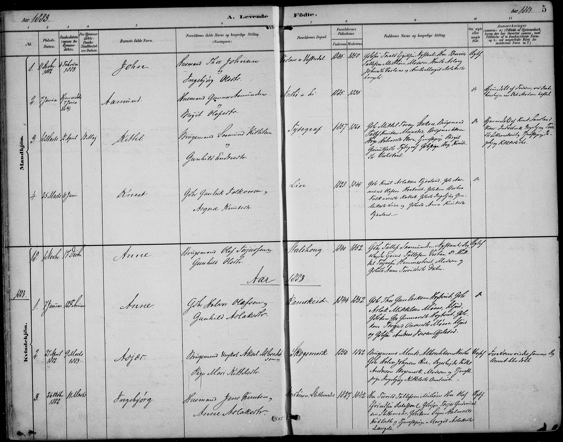 Kviteseid kirkebøker, SAKO/A-276/F/Fb/L0002: Parish register (official) no. II 2, 1882-1916, p. 5