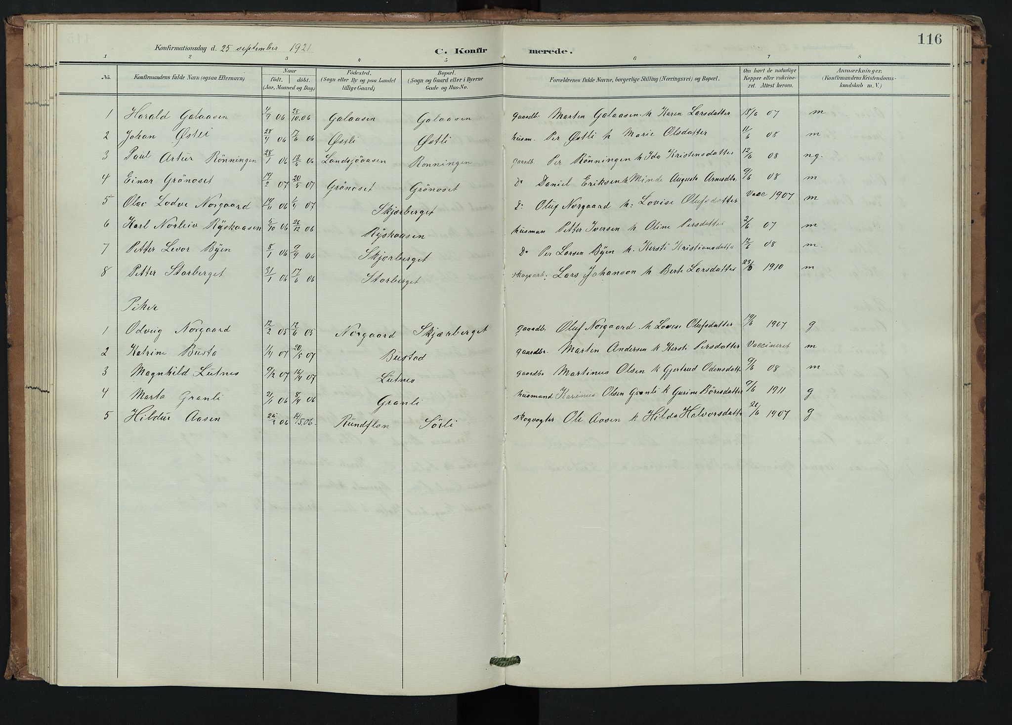 Trysil prestekontor, AV/SAH-PREST-046/H/Ha/Hab/L0008: Parish register (copy) no. 8, 1900-1950, p. 116