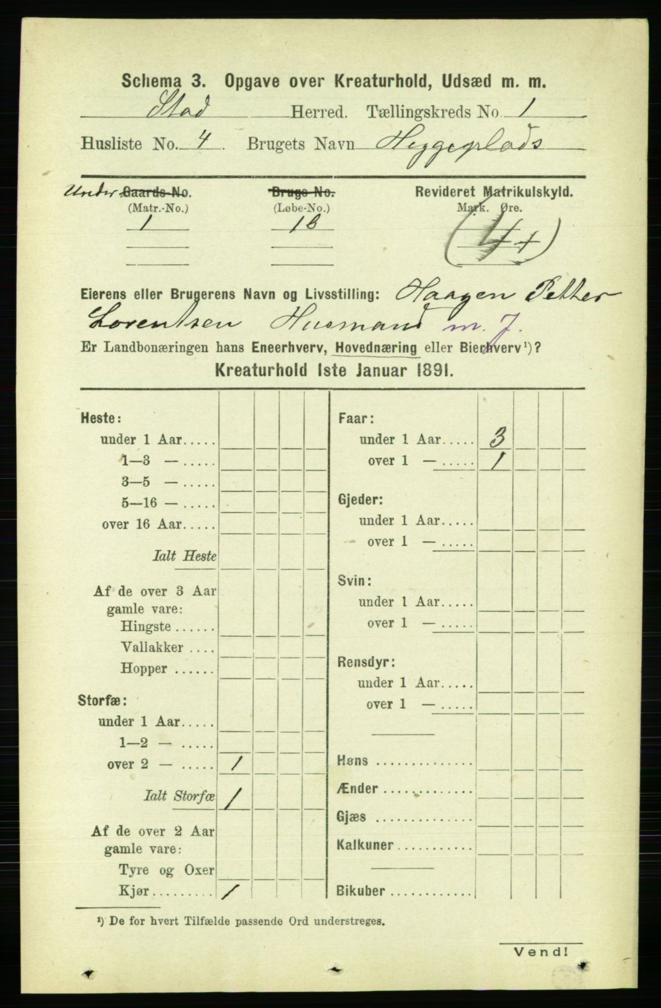 RA, 1891 census for 1734 Stod, 1891, p. 2855