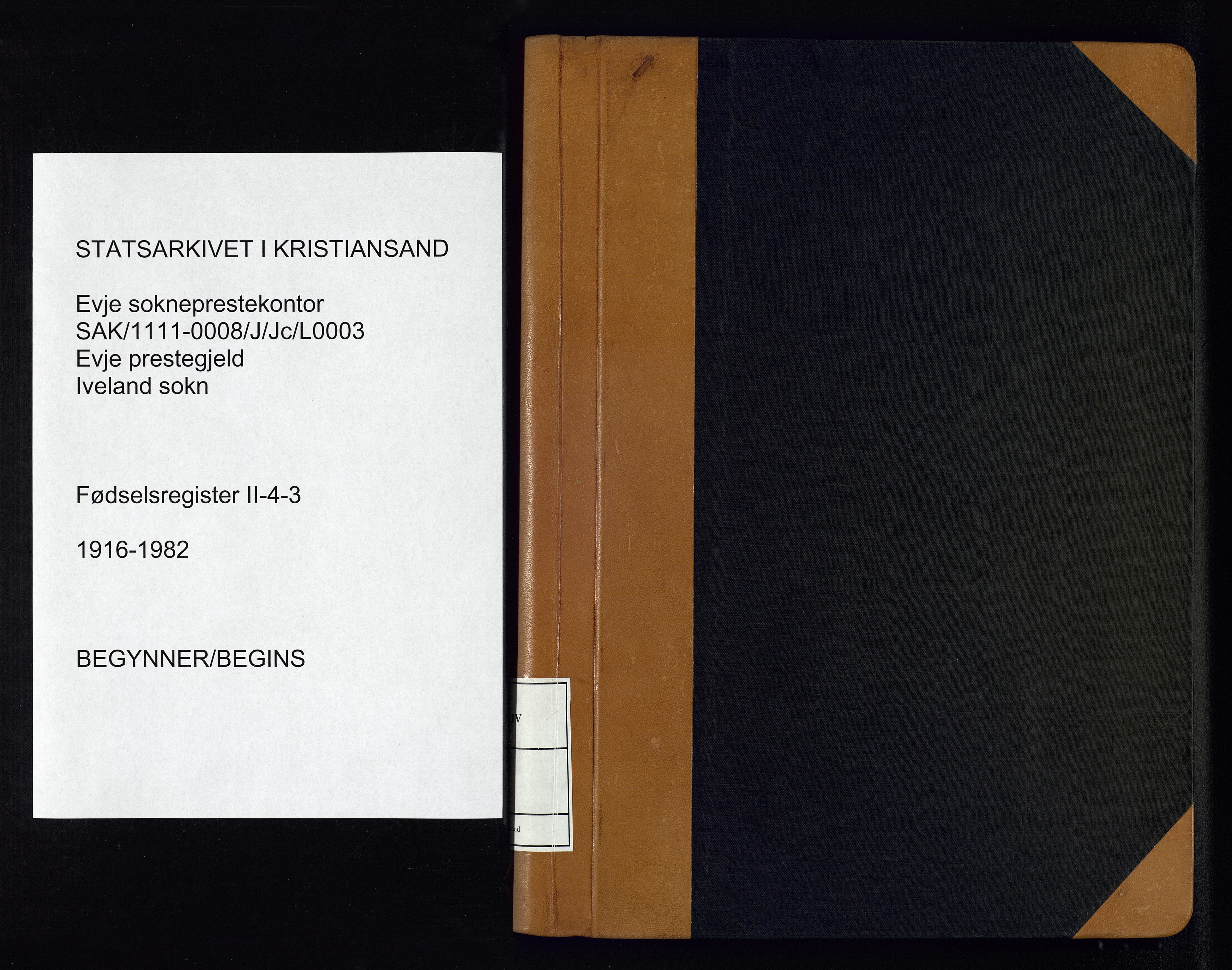 Evje sokneprestkontor, SAK/1111-0008/J/Jc/L0003: Birth register no. II.4.3, 1916-1982