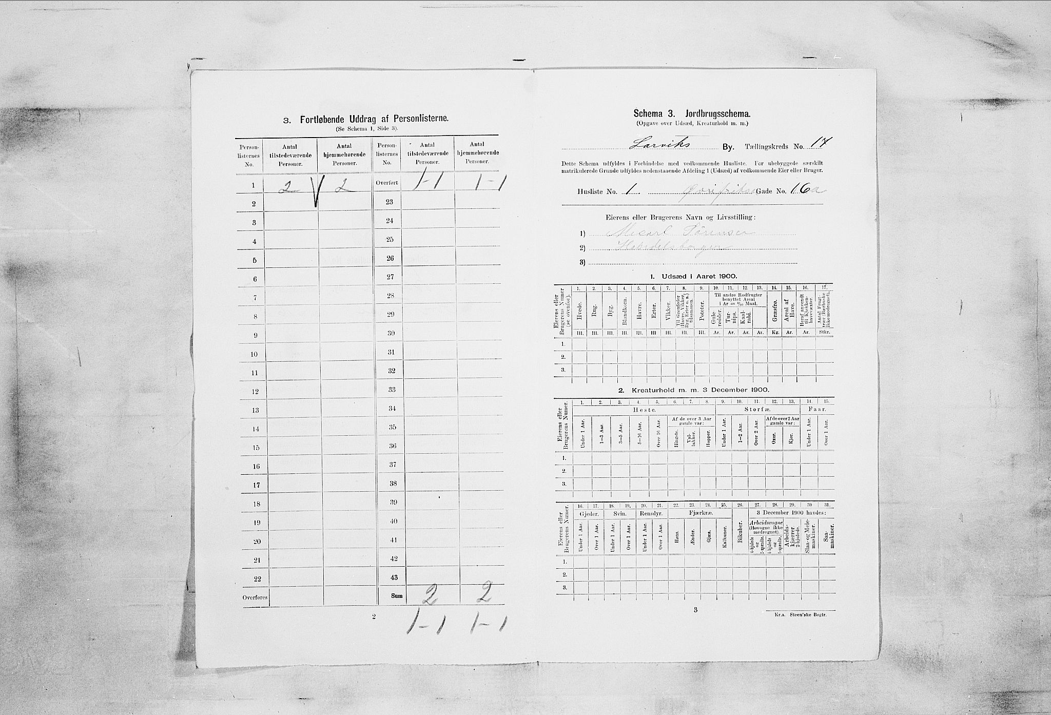 RA, 1900 census for Larvik, 1900, p. 1651