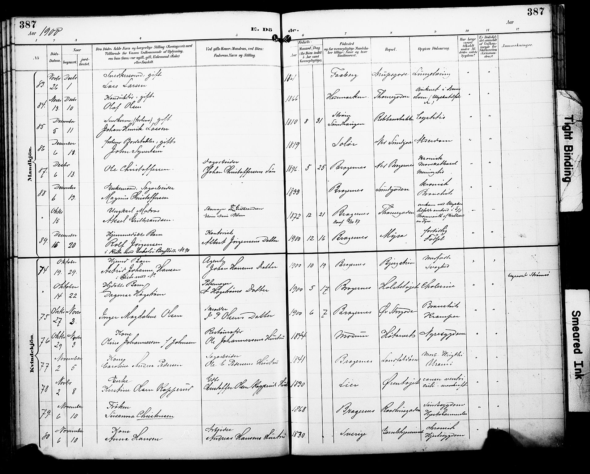 Bragernes kirkebøker, AV/SAKO-A-6/F/Fb/L0008: Parish register (official) no. II 8, 1894-1902, p. 387