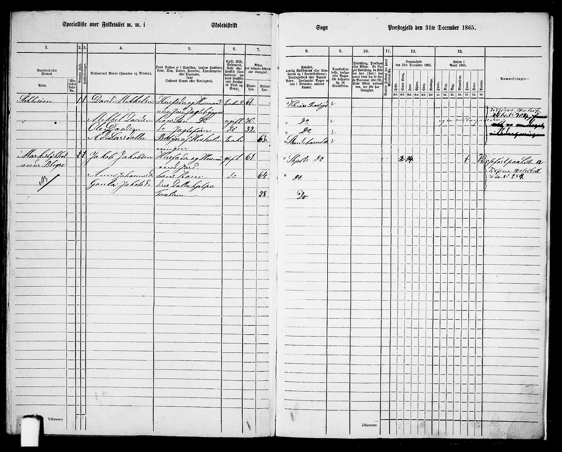 RA, 1865 census for Skjold, 1865, p. 155