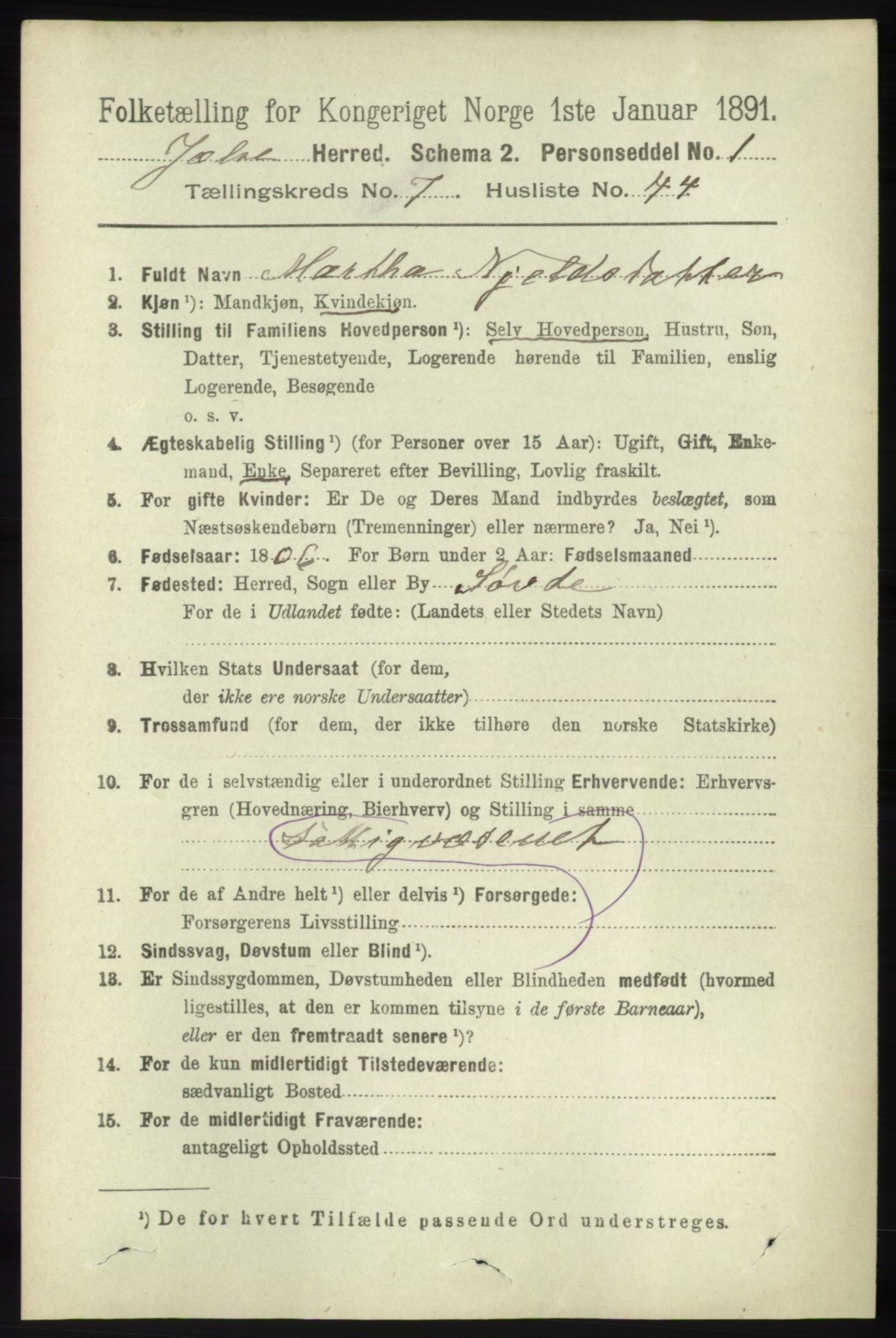 RA, 1891 census for 1138 Jelsa, 1891, p. 1743